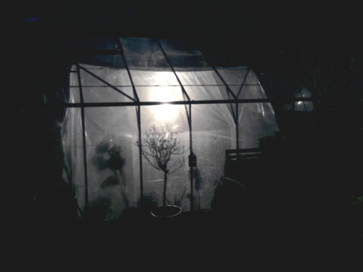 a greenhouse lit up at night