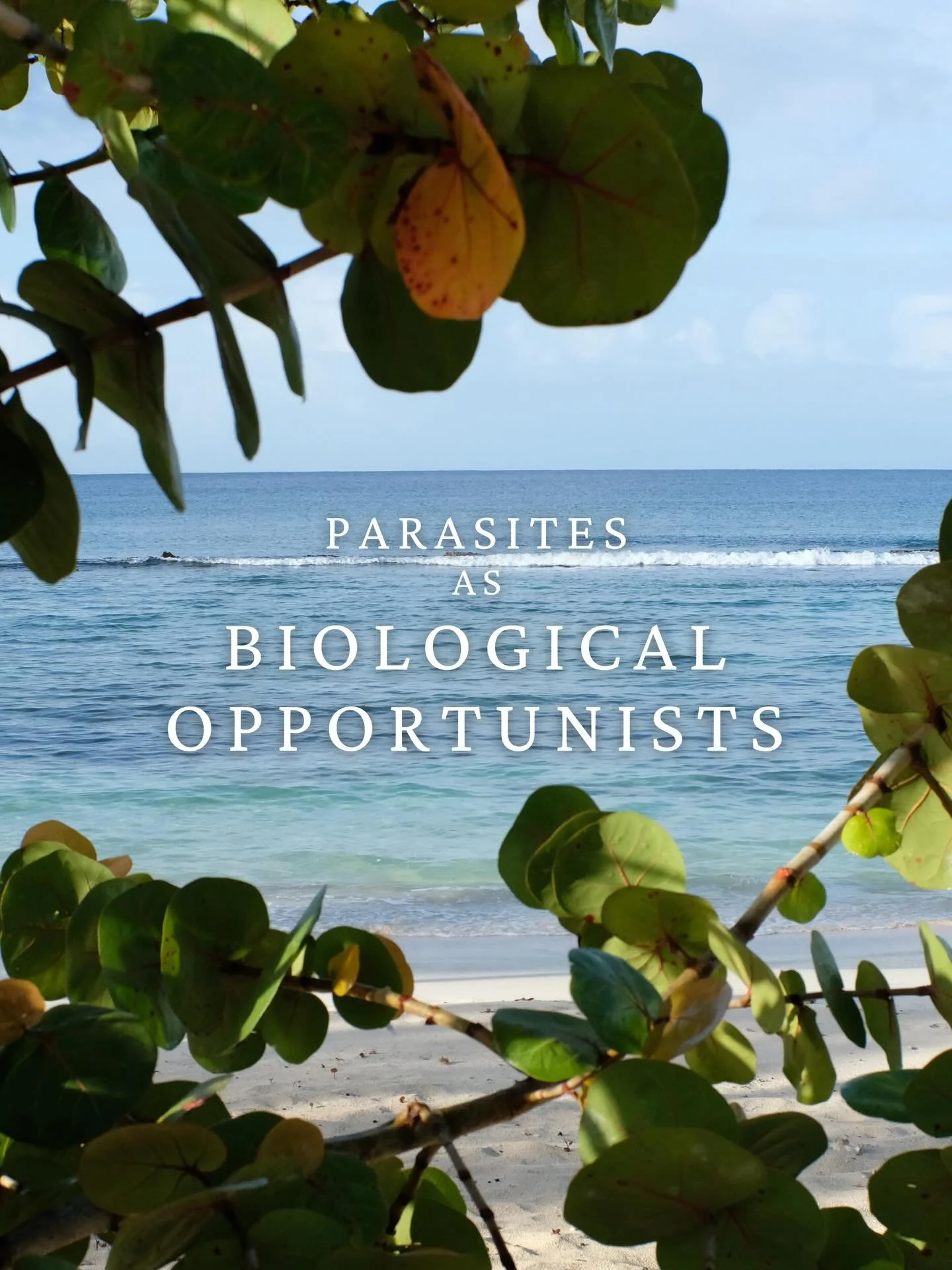 Our bodies were absolutely built to process &amp; clear what they don&rsquo;t need.

But when those systems get worn down overtime&hellip;that&rsquo;s when gut issues, food sensitivities, and those stubborn symptoms can start to show up (think bloati