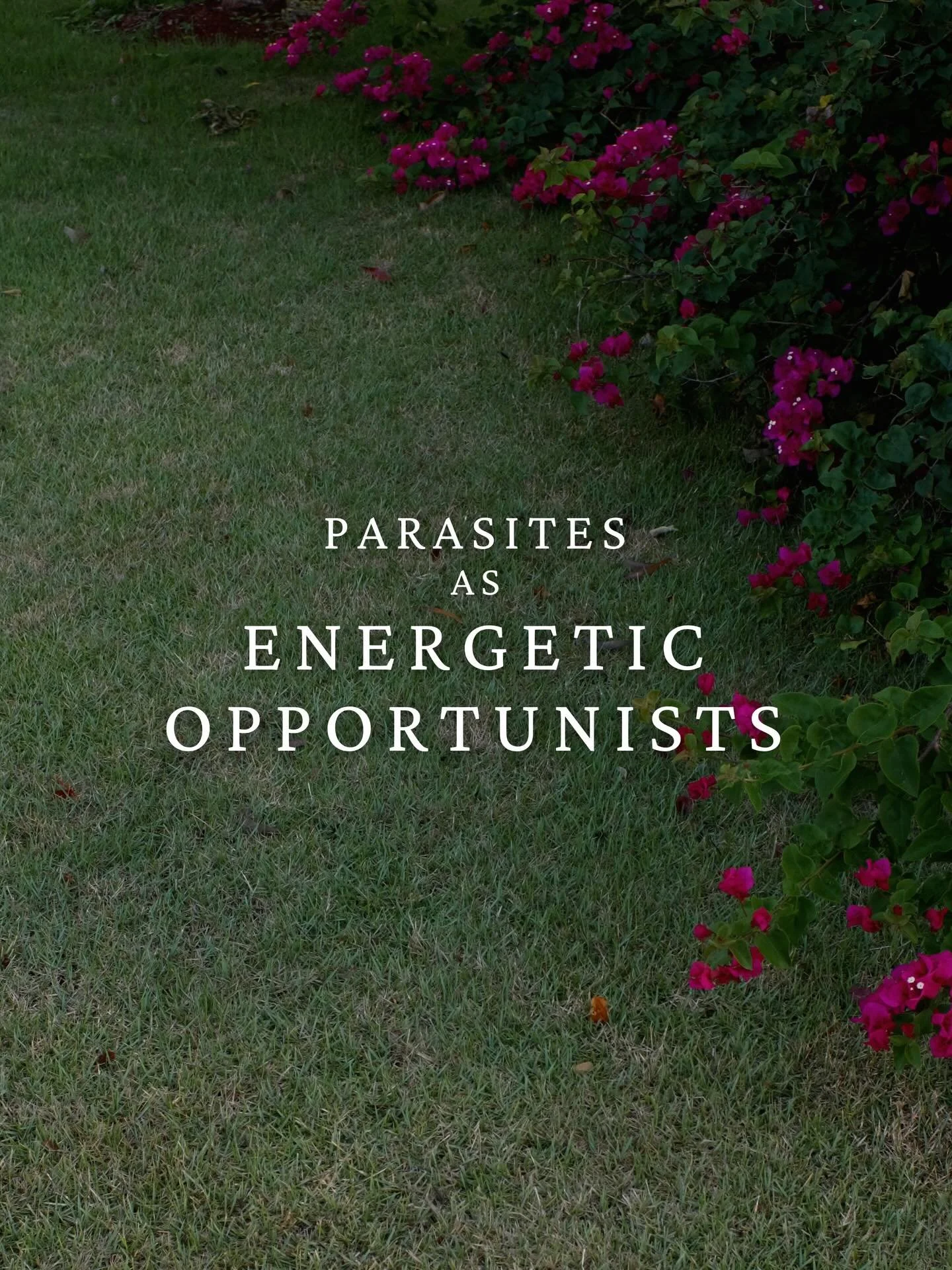 I wanted to make a part two to my last post because I don&rsquo;t think we talk enough about how much our *energy* plays a role in why we get unwell.

Exposure to physical toxins do matter, but the chronic state your body has been living in plays a h