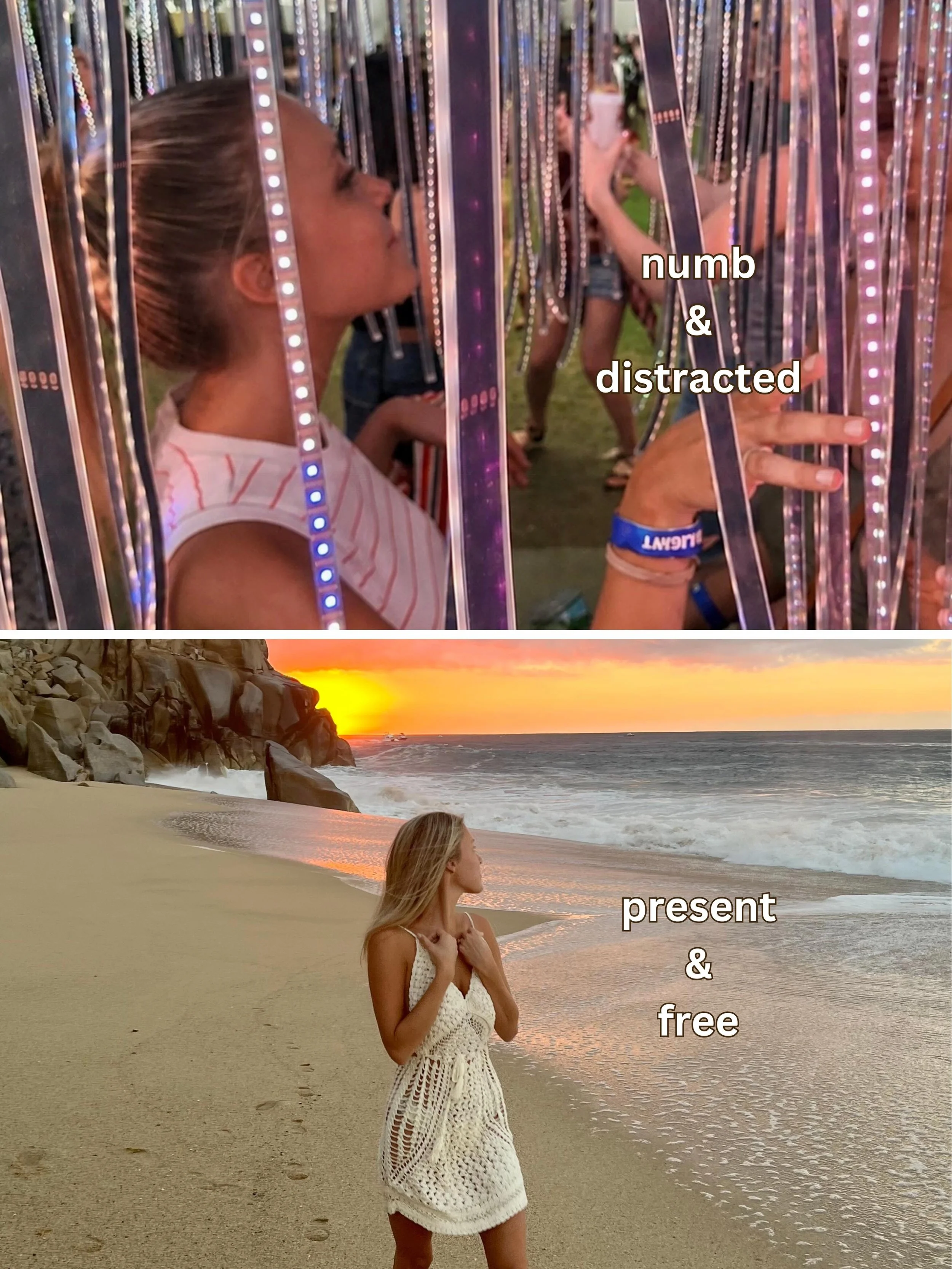 🦋