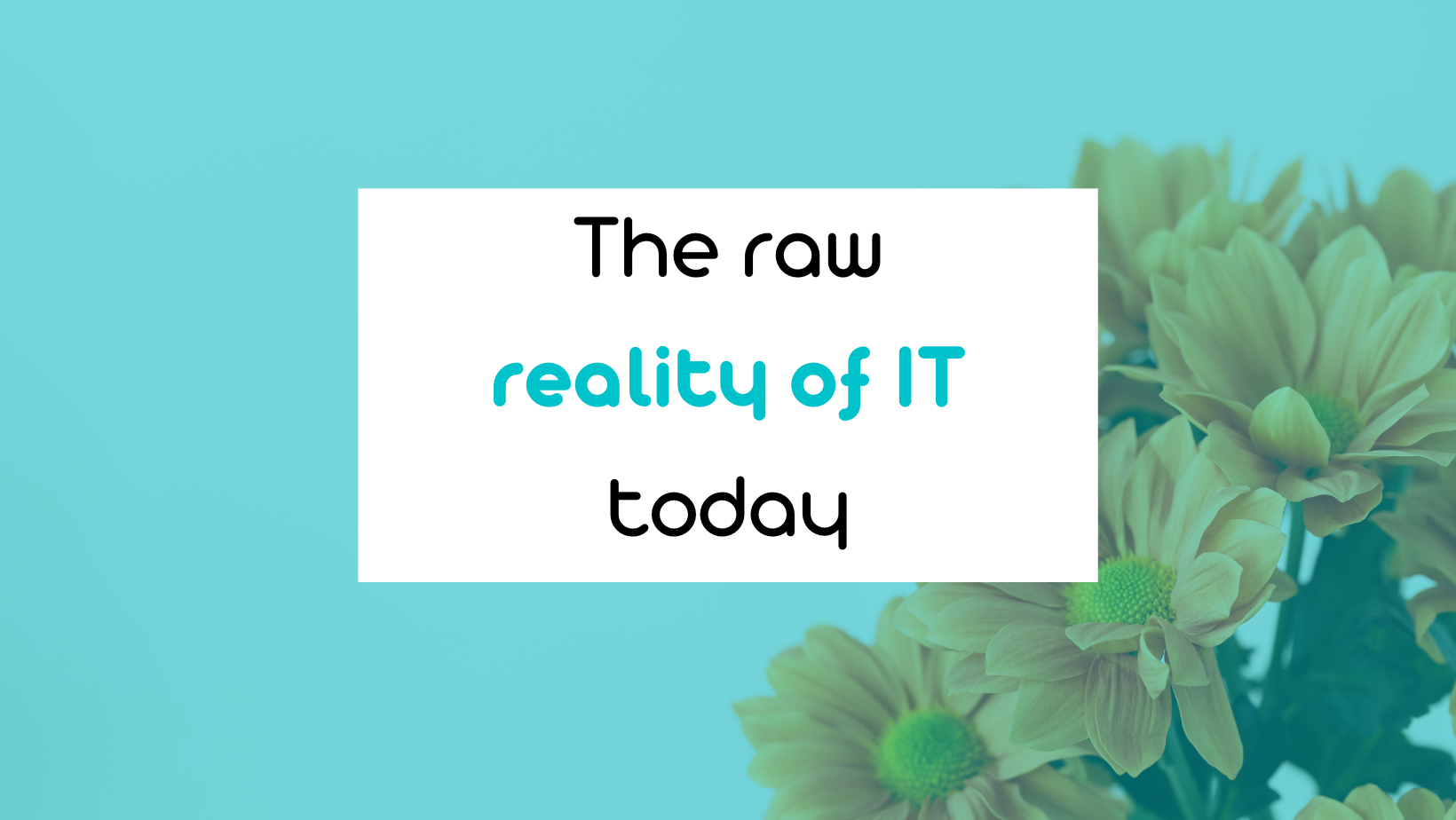 How healthy is the IT sector today?