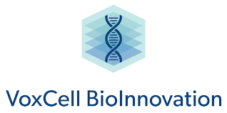 VoxcCell.png