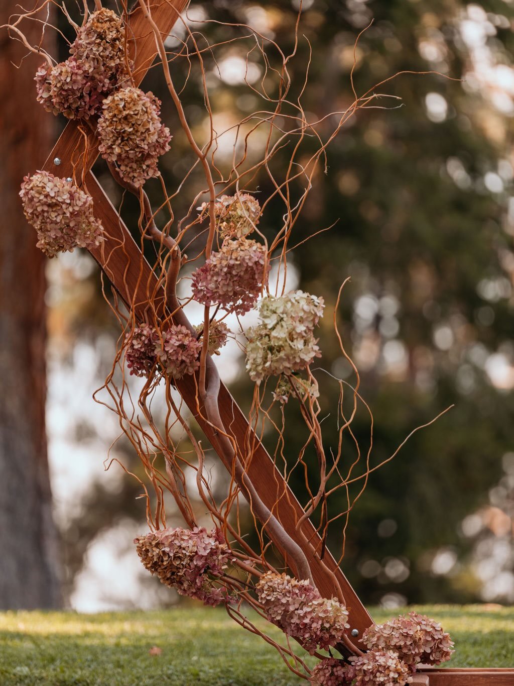 the ceremony sets the scene for the rest of the day 💫

it defines the tone, the energy, and the love you share. This is the heartbeat of the wedding day.

design it intentionally: choose music that feels like you, decor that matches your style, slow
