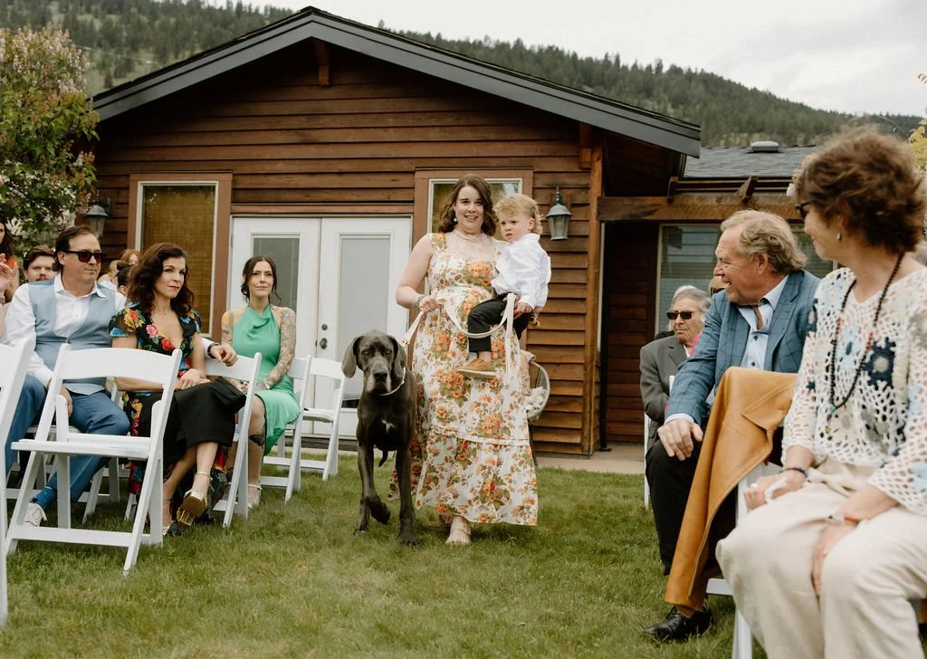 Wedding Dog