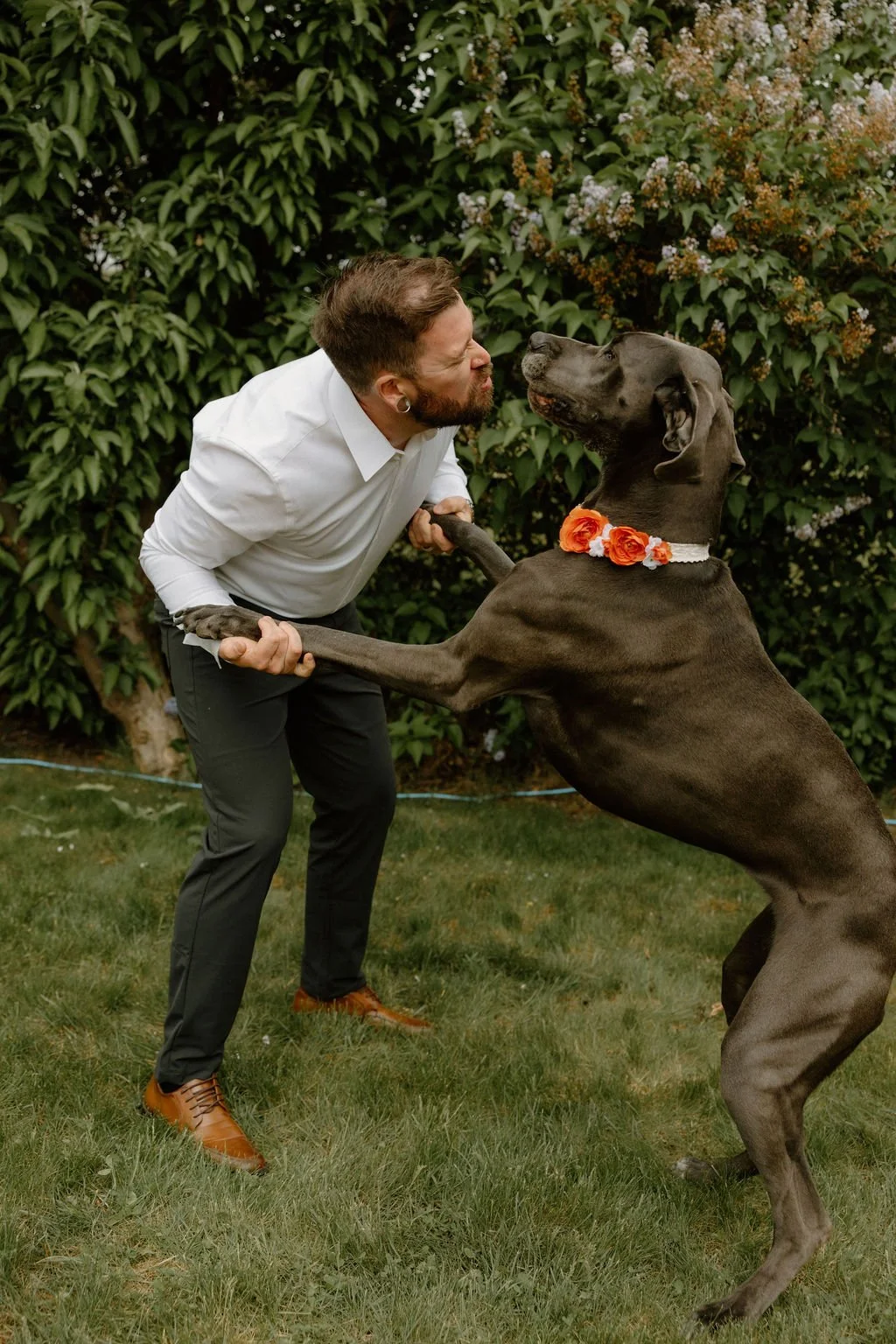 Groom and Dog