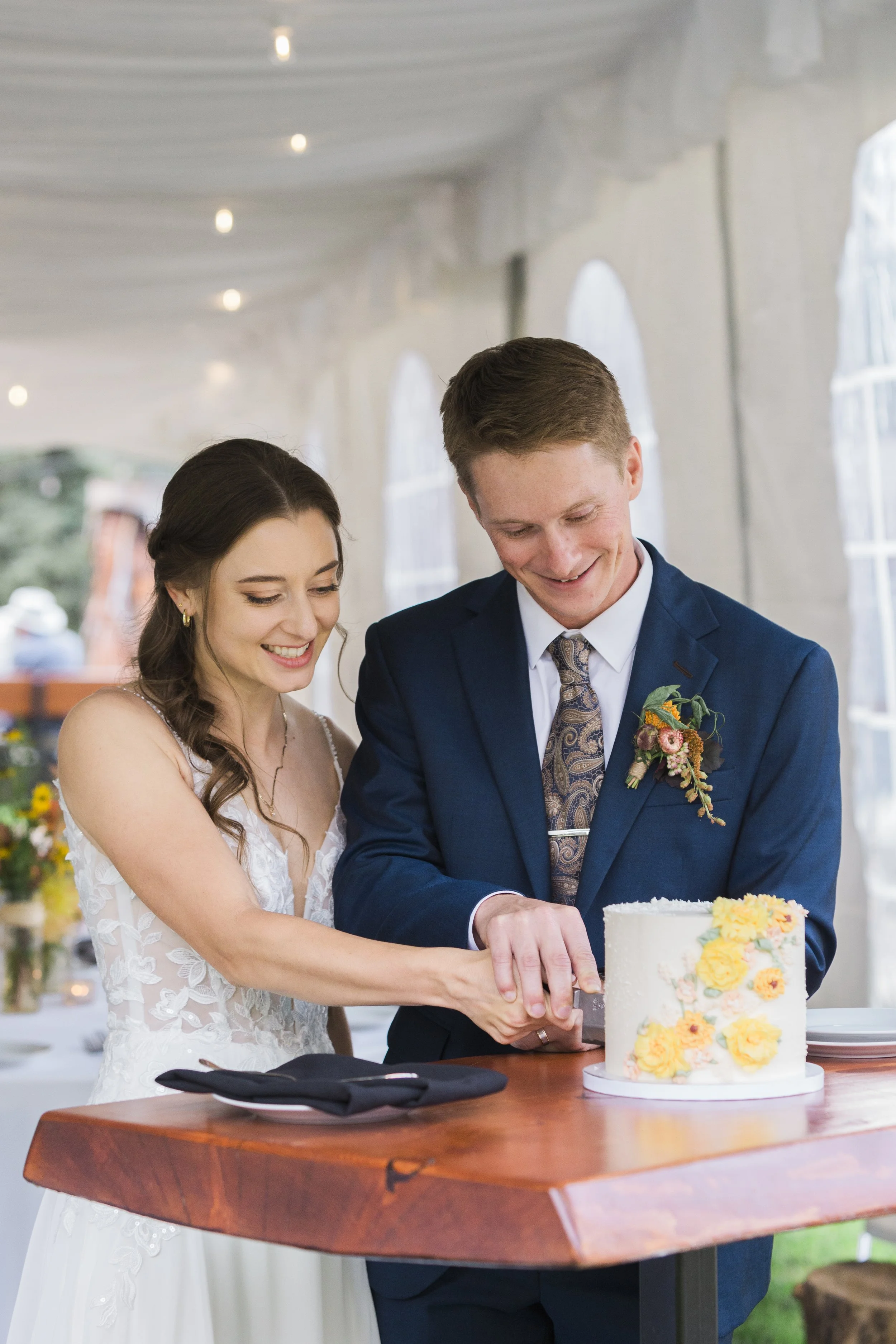 Cake Cutting