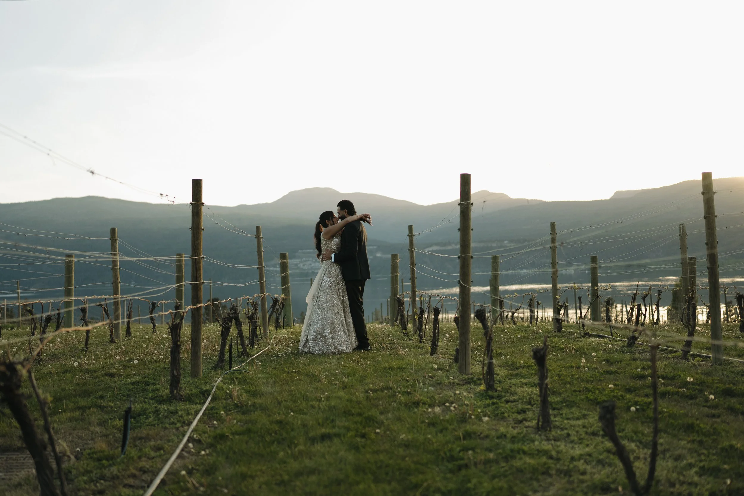 Vineyard views at a wedding reception in the Okanagan Valle