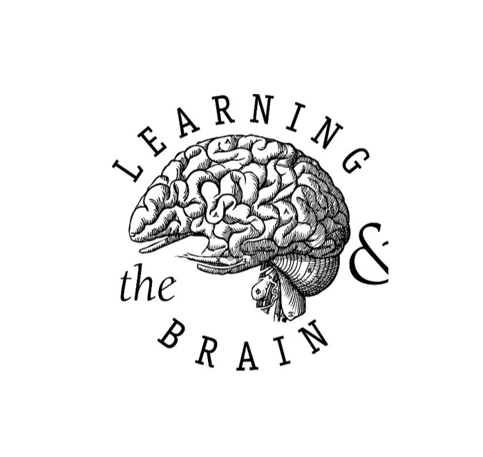 brain.png