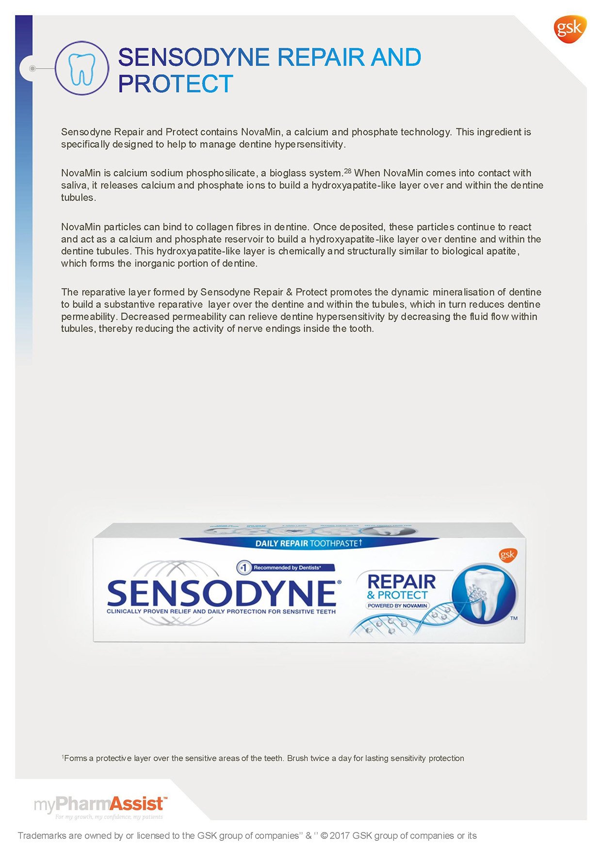 OralHealth_Max60_1.1_BLUE_Page_11.jpg