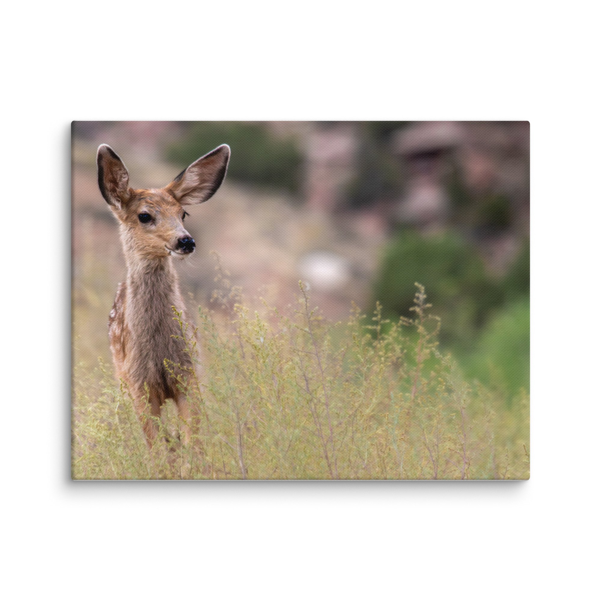 canvas-(in)-11x14-wall-671d7a0c02d4c.jpg