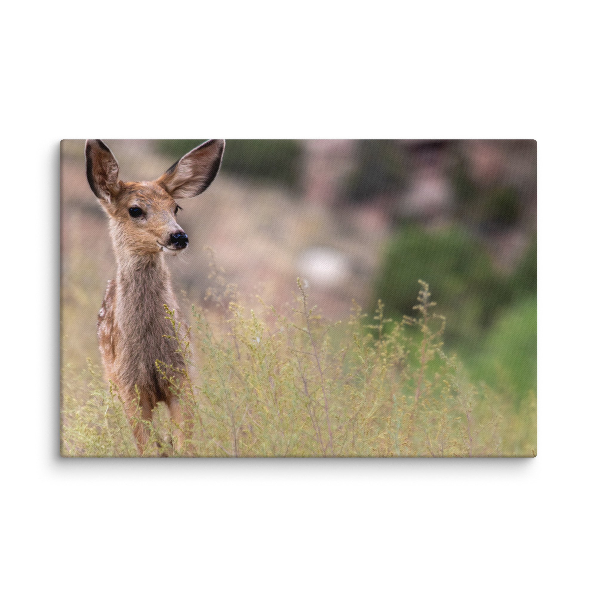 canvas-(in)-16x24-wall-671d7a0c02f11.jpg