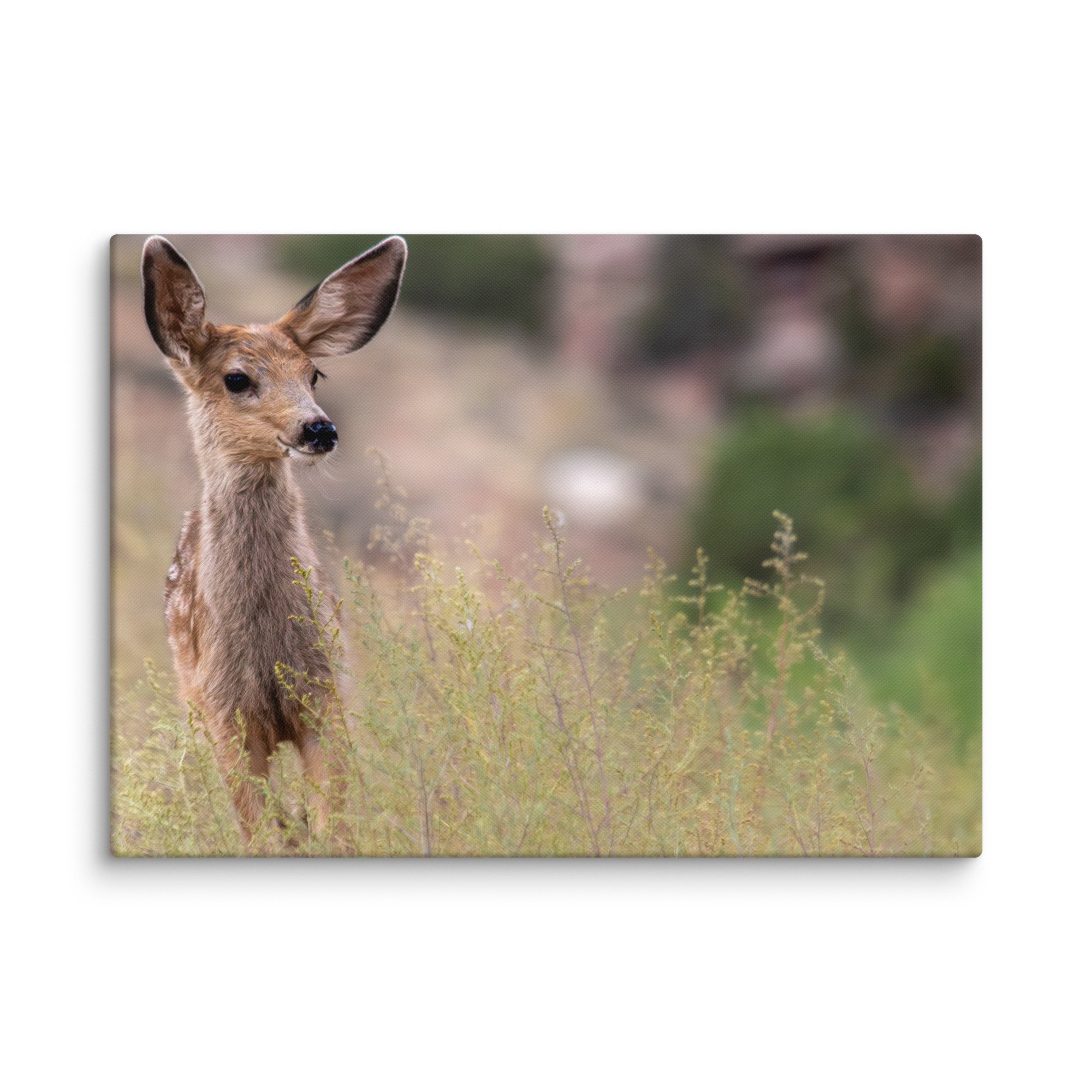 canvas-(in)-20x28-wall-671d7a0c031d1.jpg