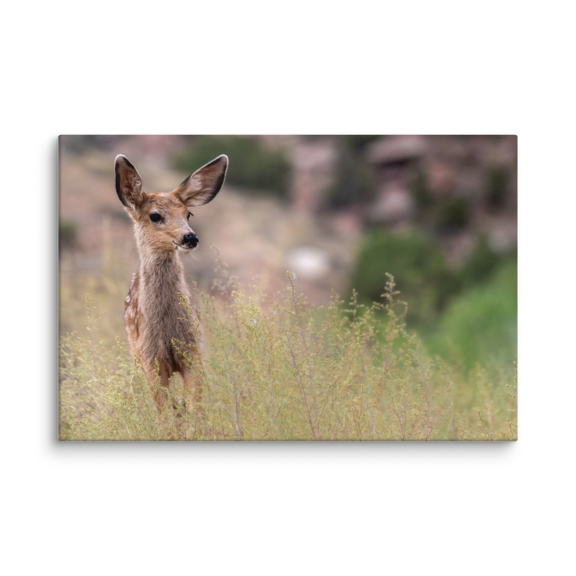 canvas-(in)-20x30-wall-671d7a0c03224.jpg