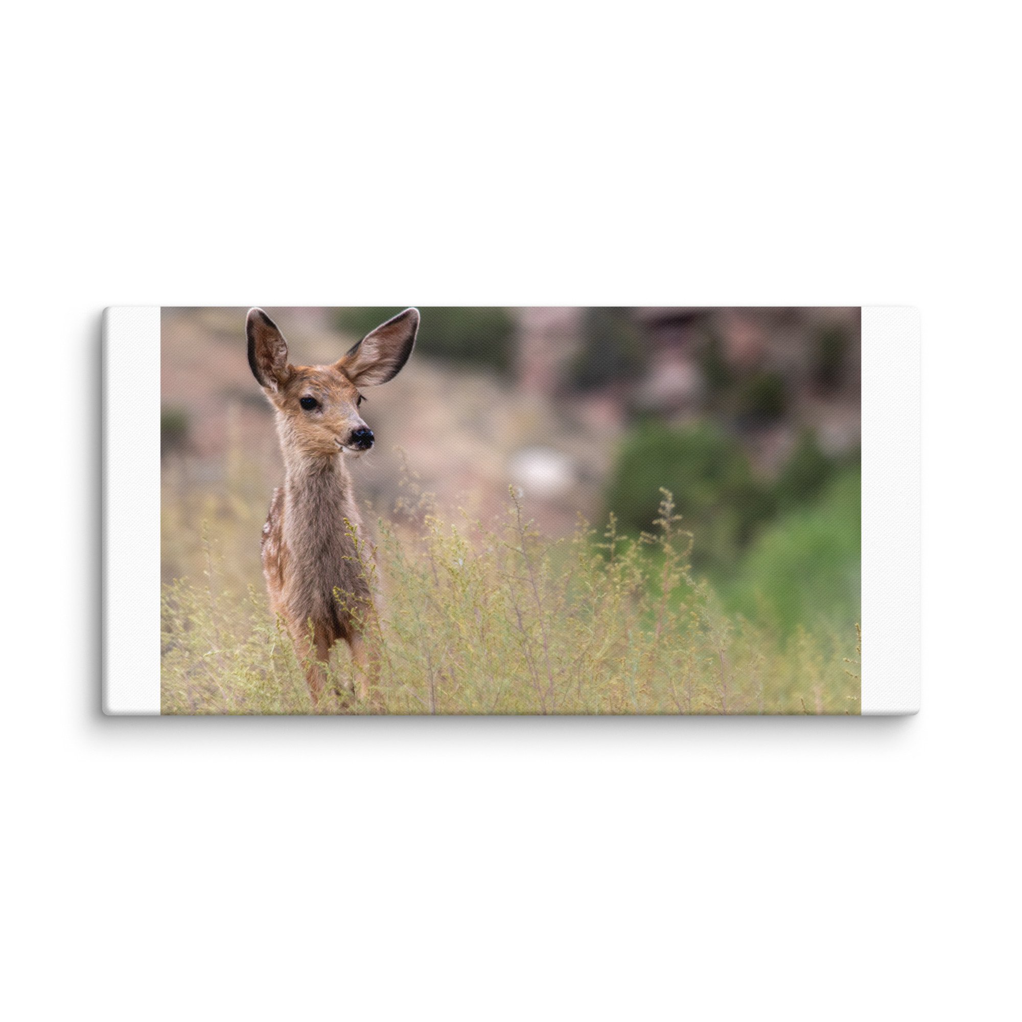 canvas-(in)-20x40-wall-671d7a0c03276.jpg