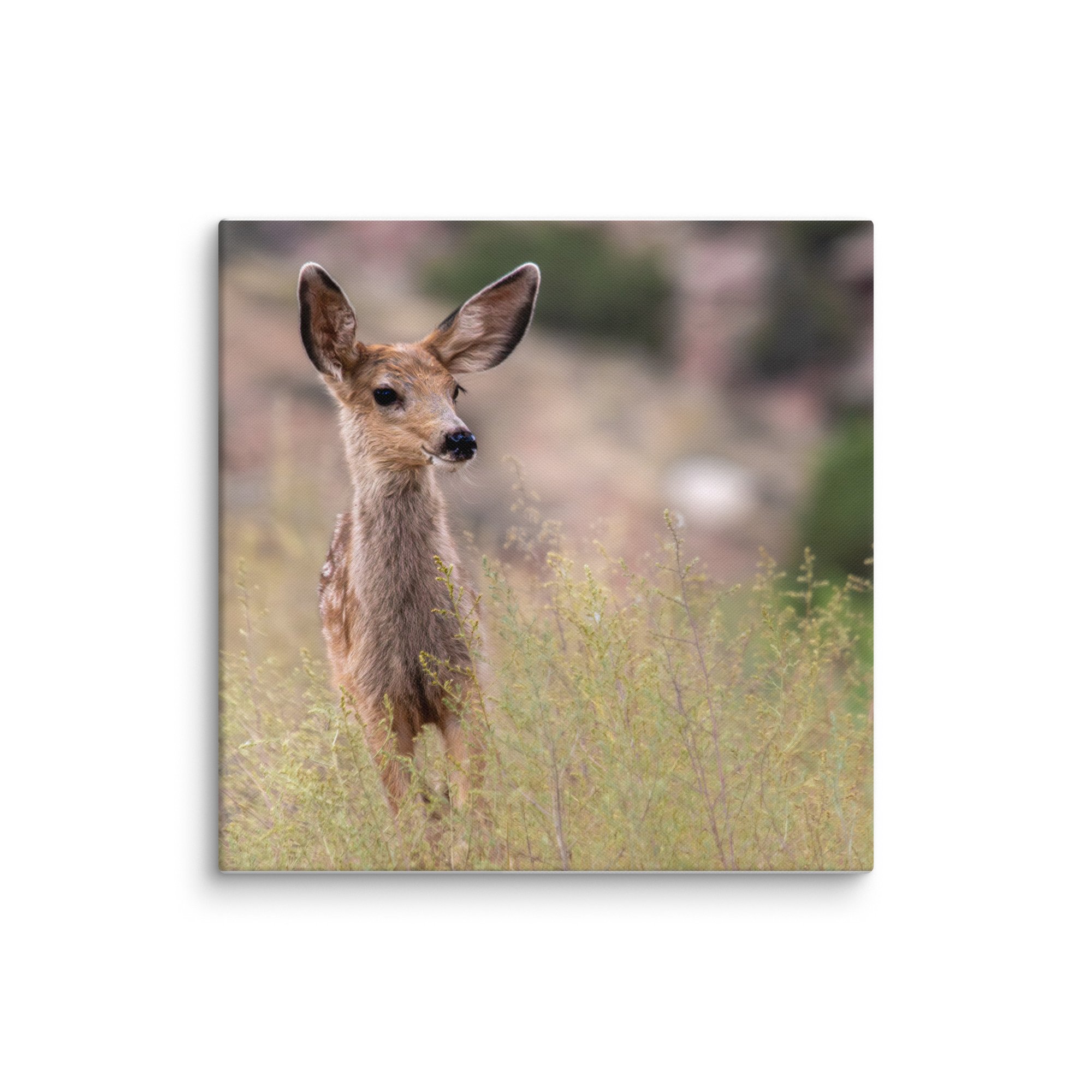 canvas-(in)-24x24-wall-671d7a0c032c9.jpg