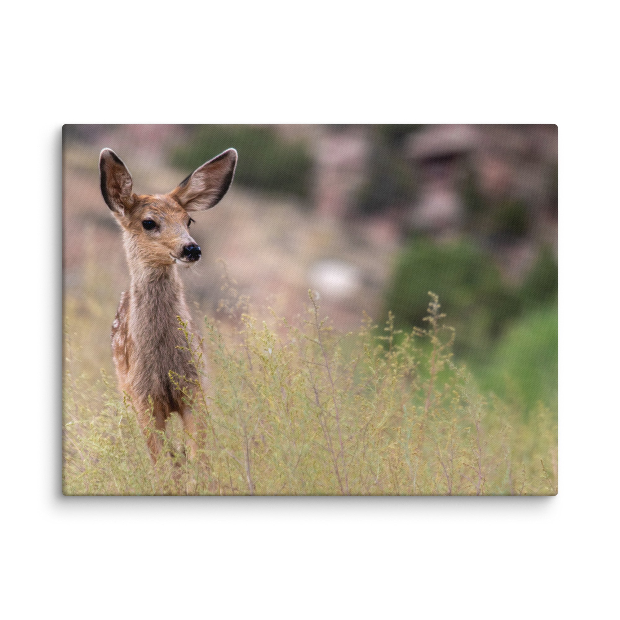 canvas-(in)-24x32-wall-671d7a0c03380.jpg