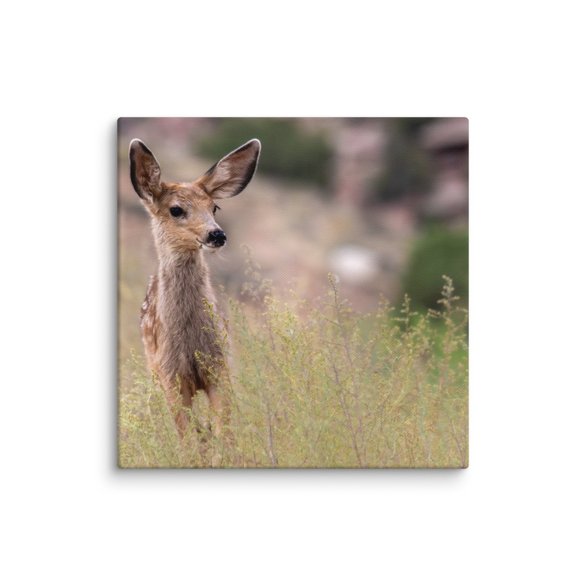 canvas-(in)-8x8-wall-671d7a0c0357c.jpg