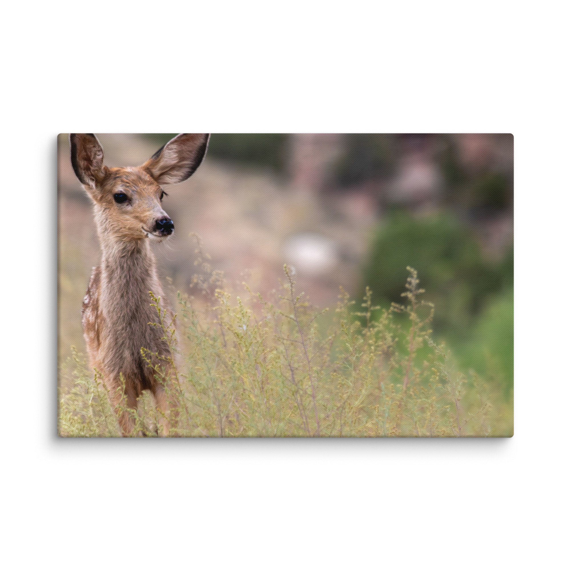 canvas-(in)-24x36-wall-671d7a0c038be.jpg