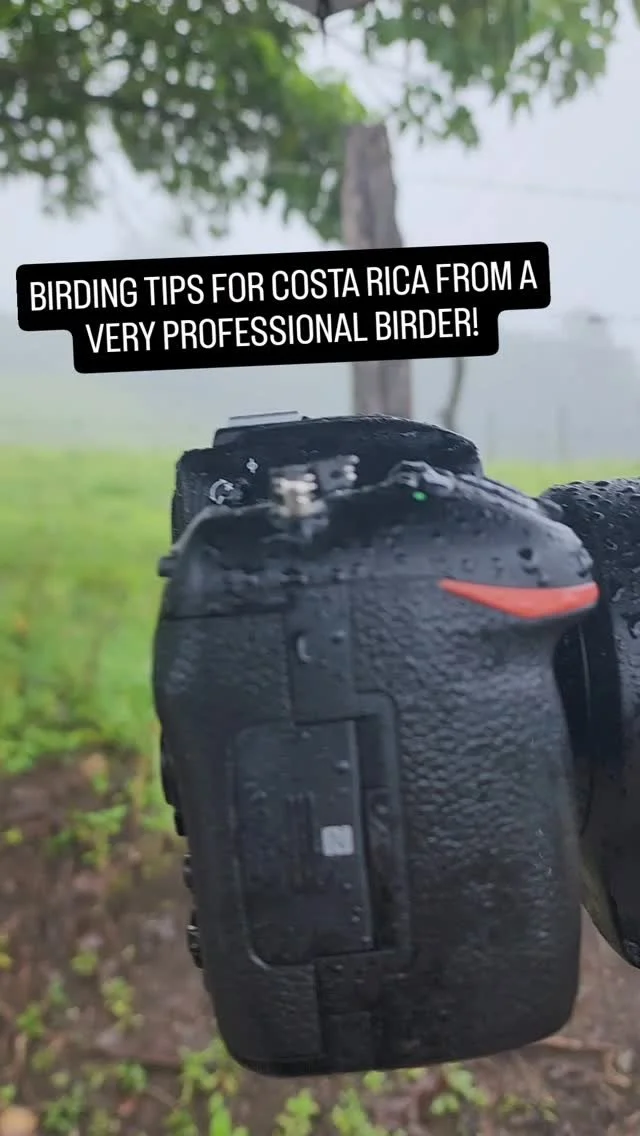 #photography #costarica #naturephotography #birding