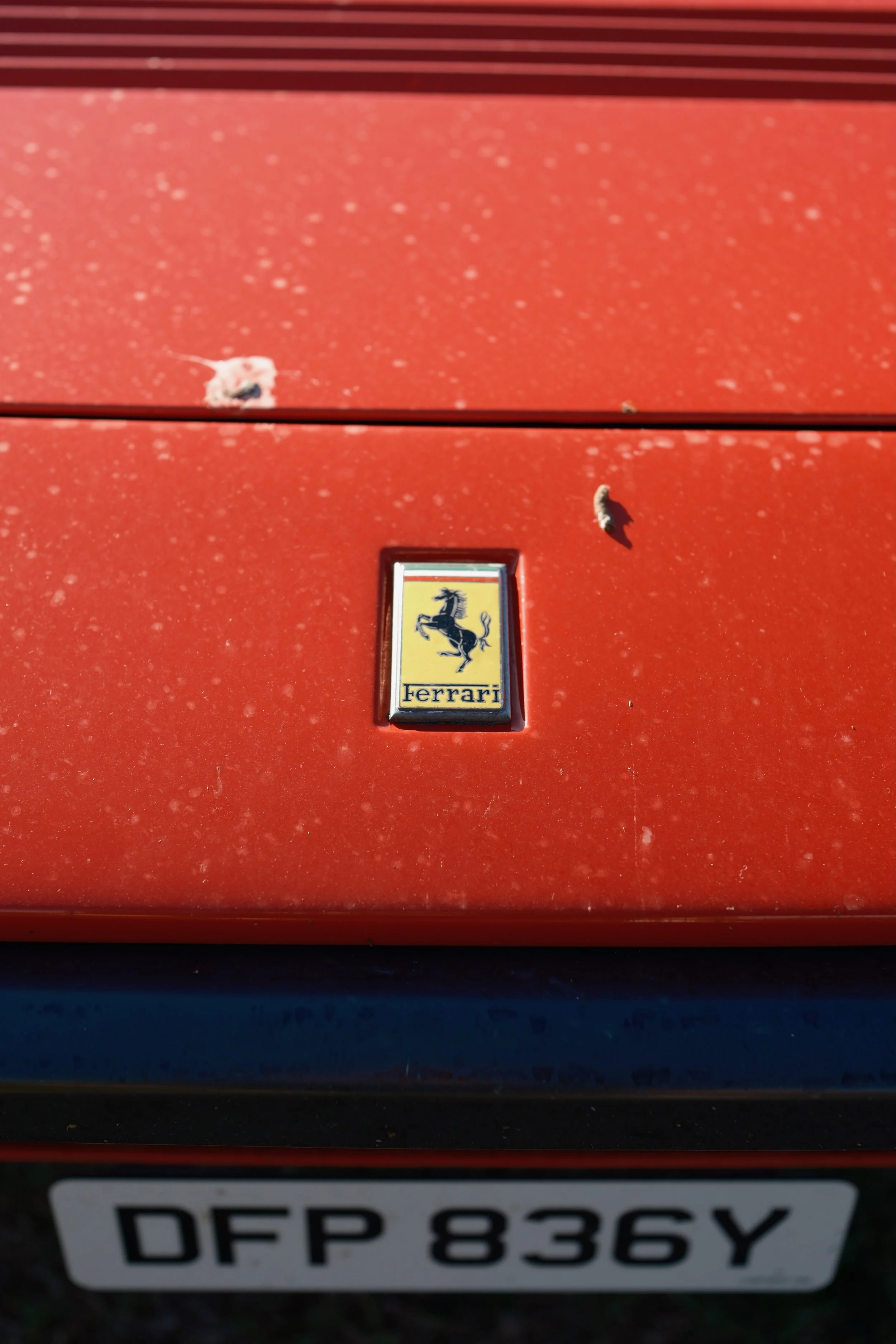 A close-up of a red Ferrari car with a yellow and black Ferrari emblem and a license plate reading 'DFP 836Y'.