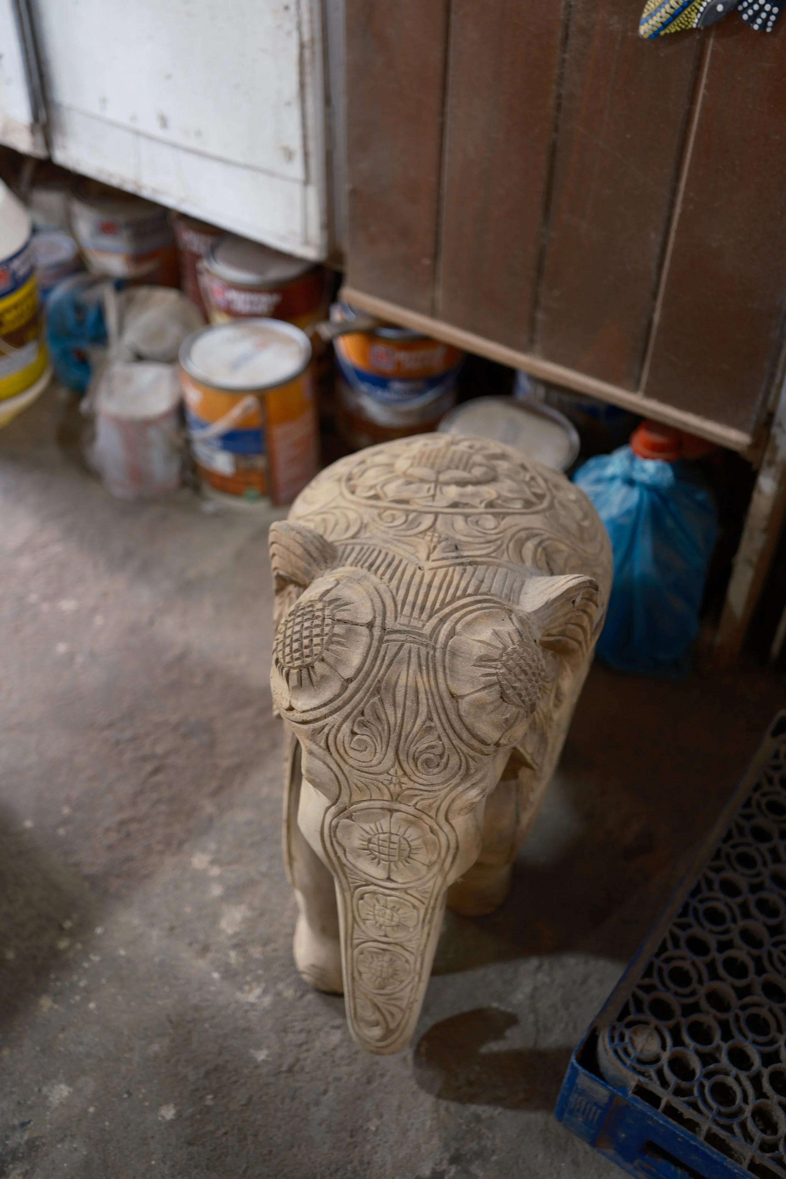 DSCF5480.jpg