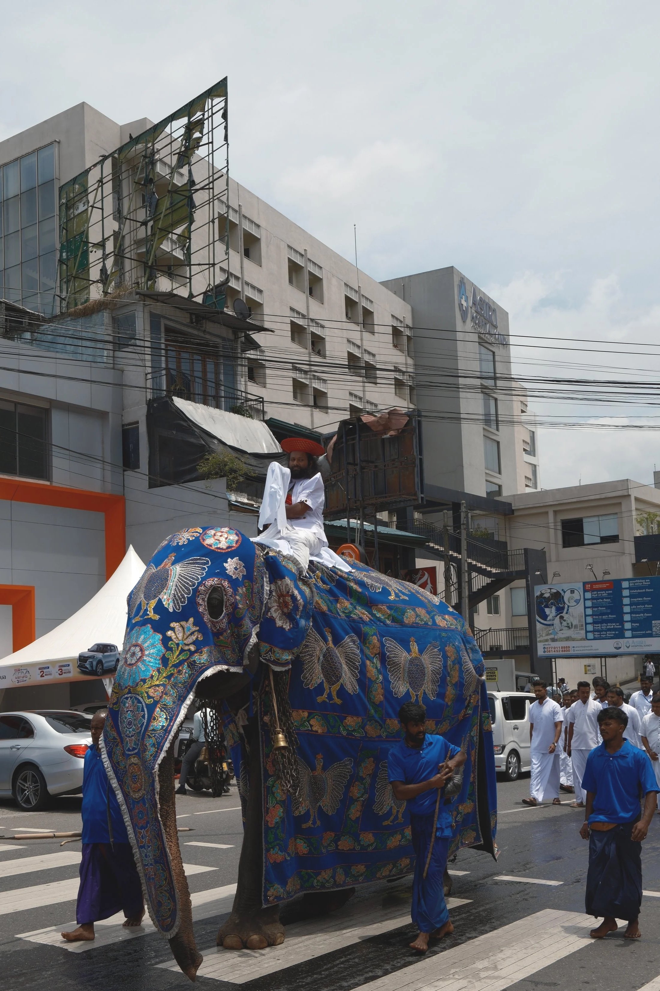 DSCF5640.jpg
