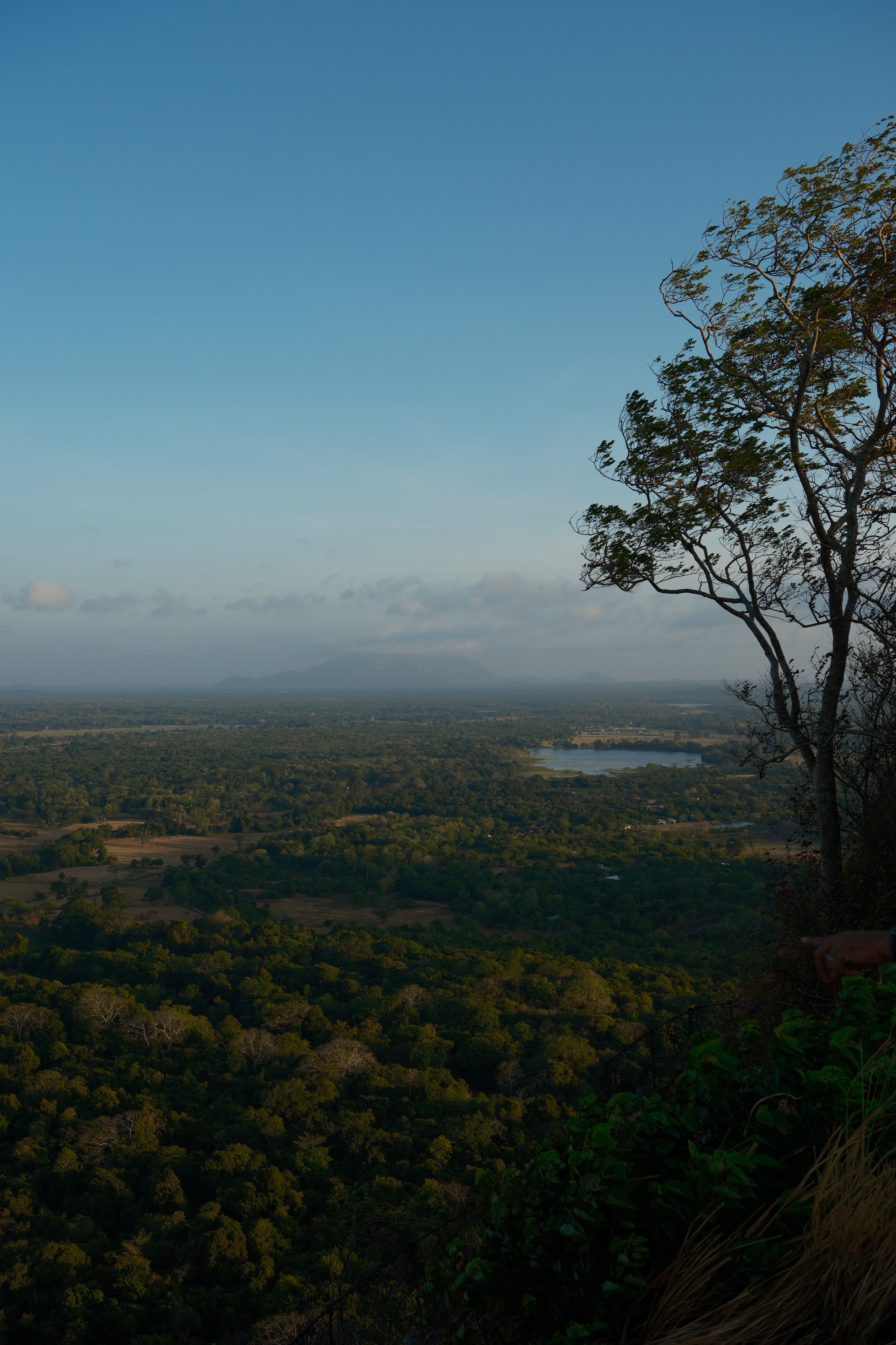 DSCF6454.jpg