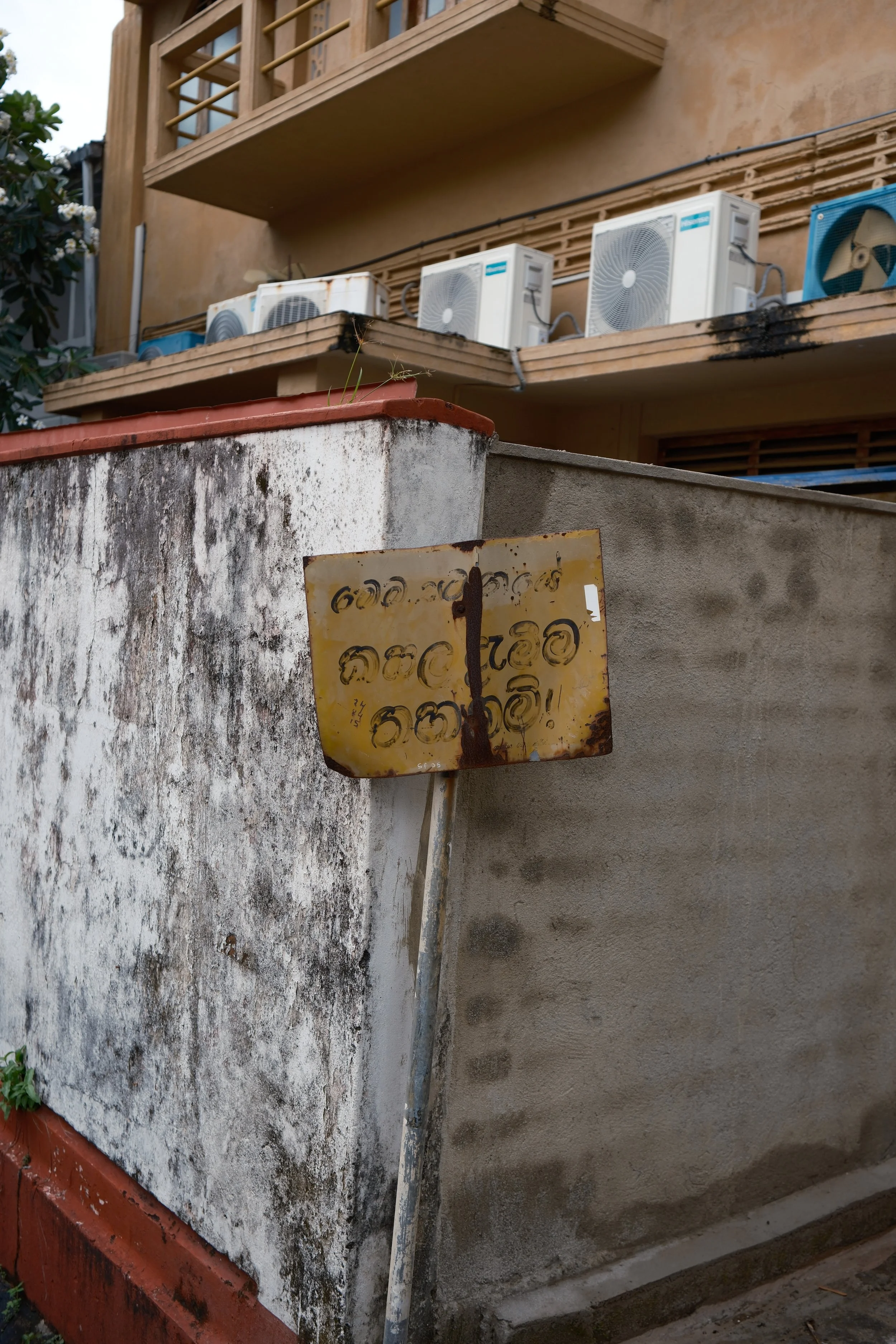 DSCF7508.jpg