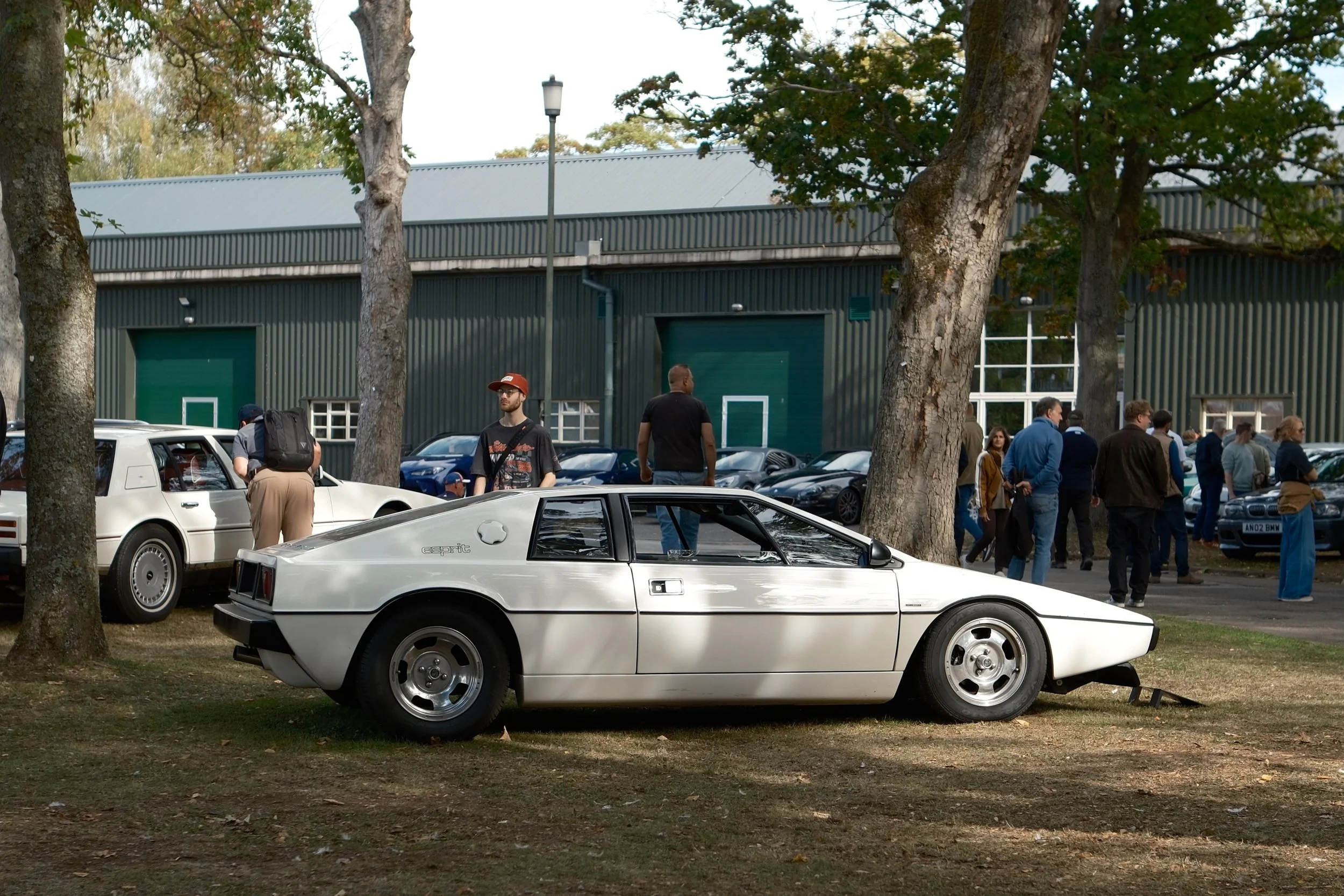 A crowd of people gathered outdoors around classic cars parked on the grass in front of a green building with trees in the background.