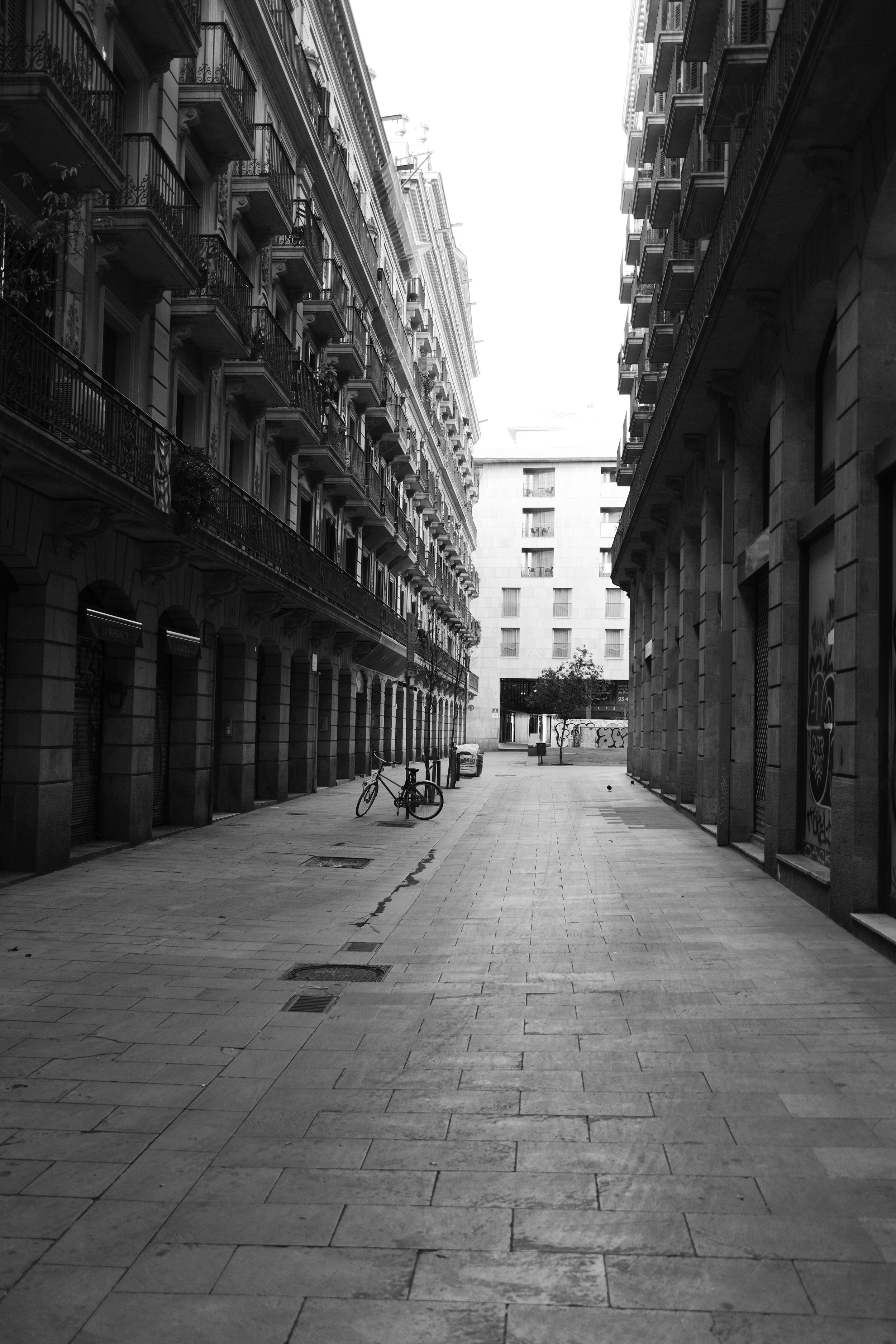 DSCF0859.jpeg