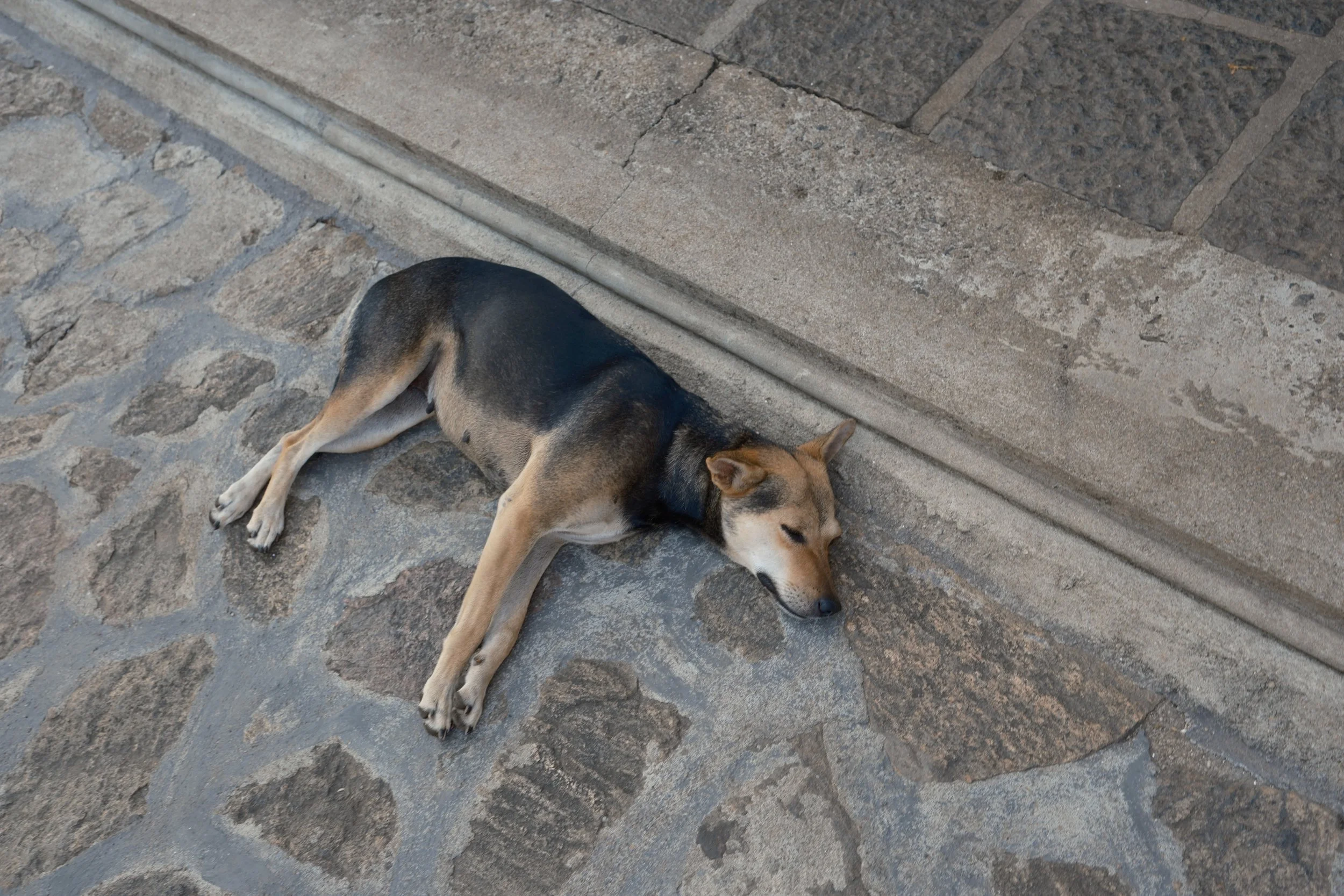 DSCF5697.jpg