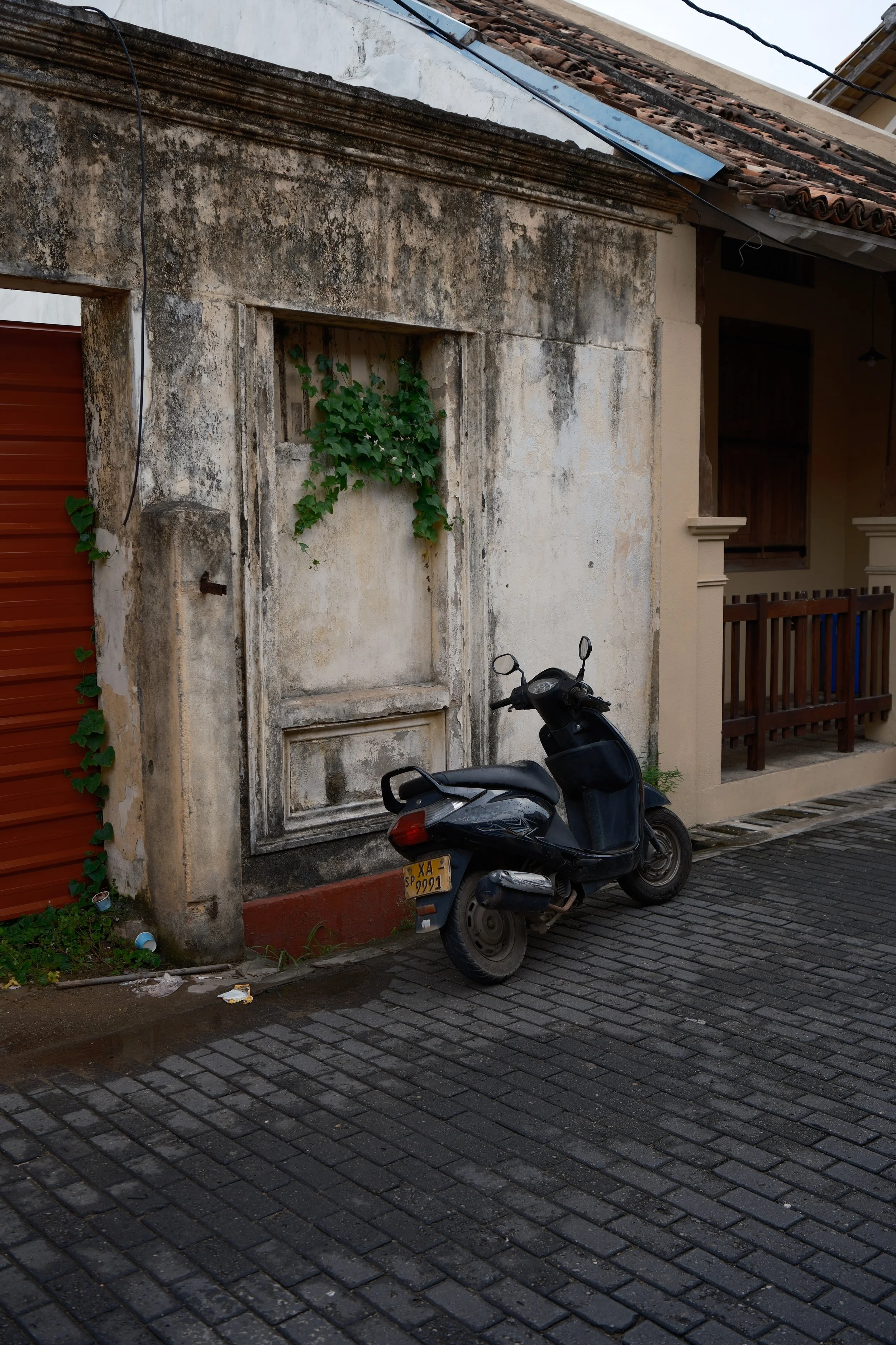 DSCF7511.jpg