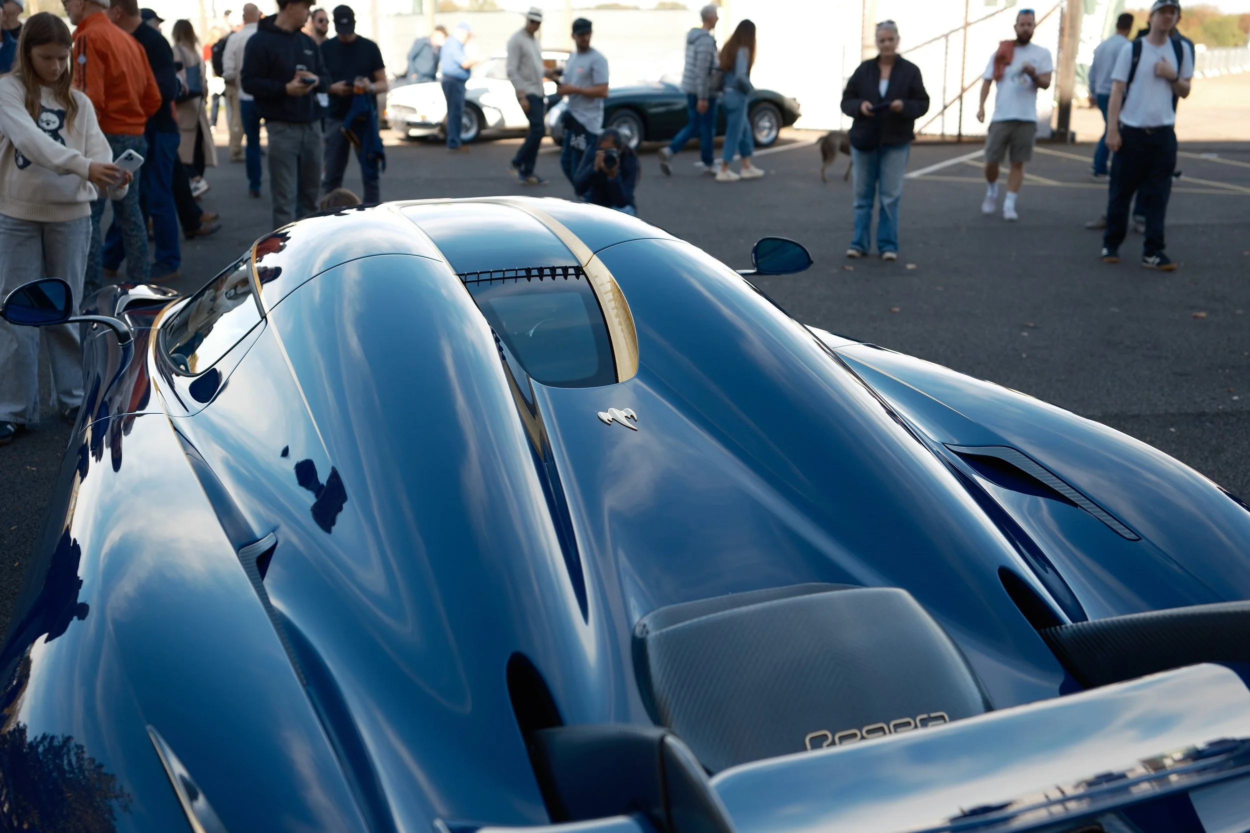 Close-up of a sleek, shiny black sports car with a logo on the hood, parked in front of a crowd of people at an outdoor car event.