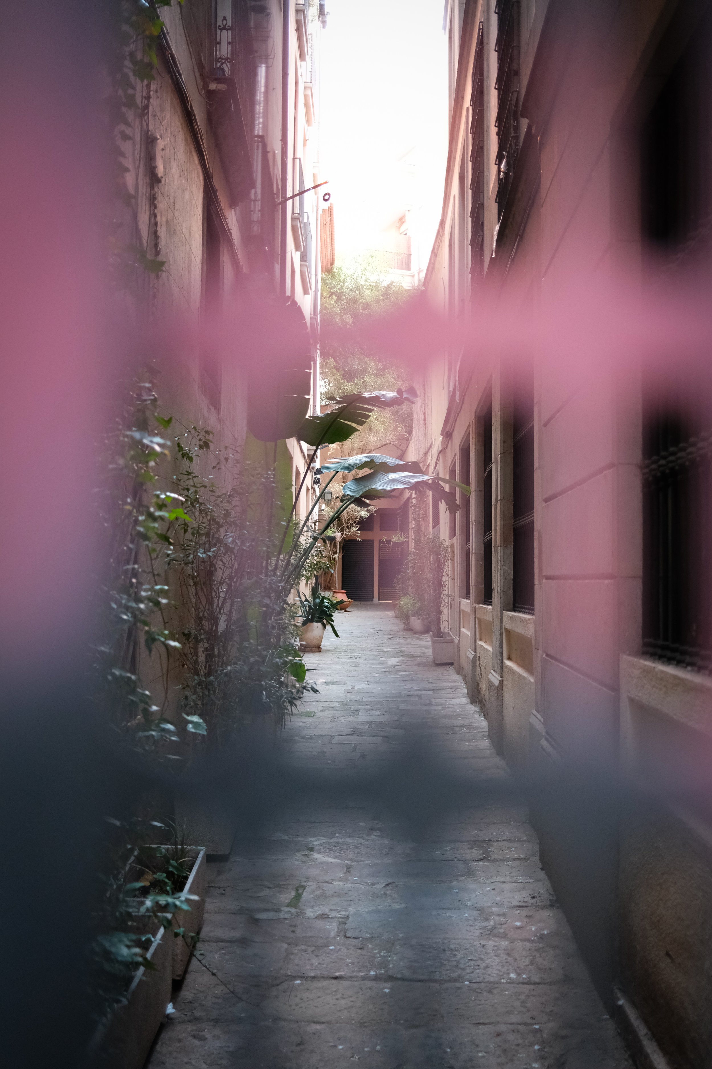 Alley Peek. Barcelona 2024