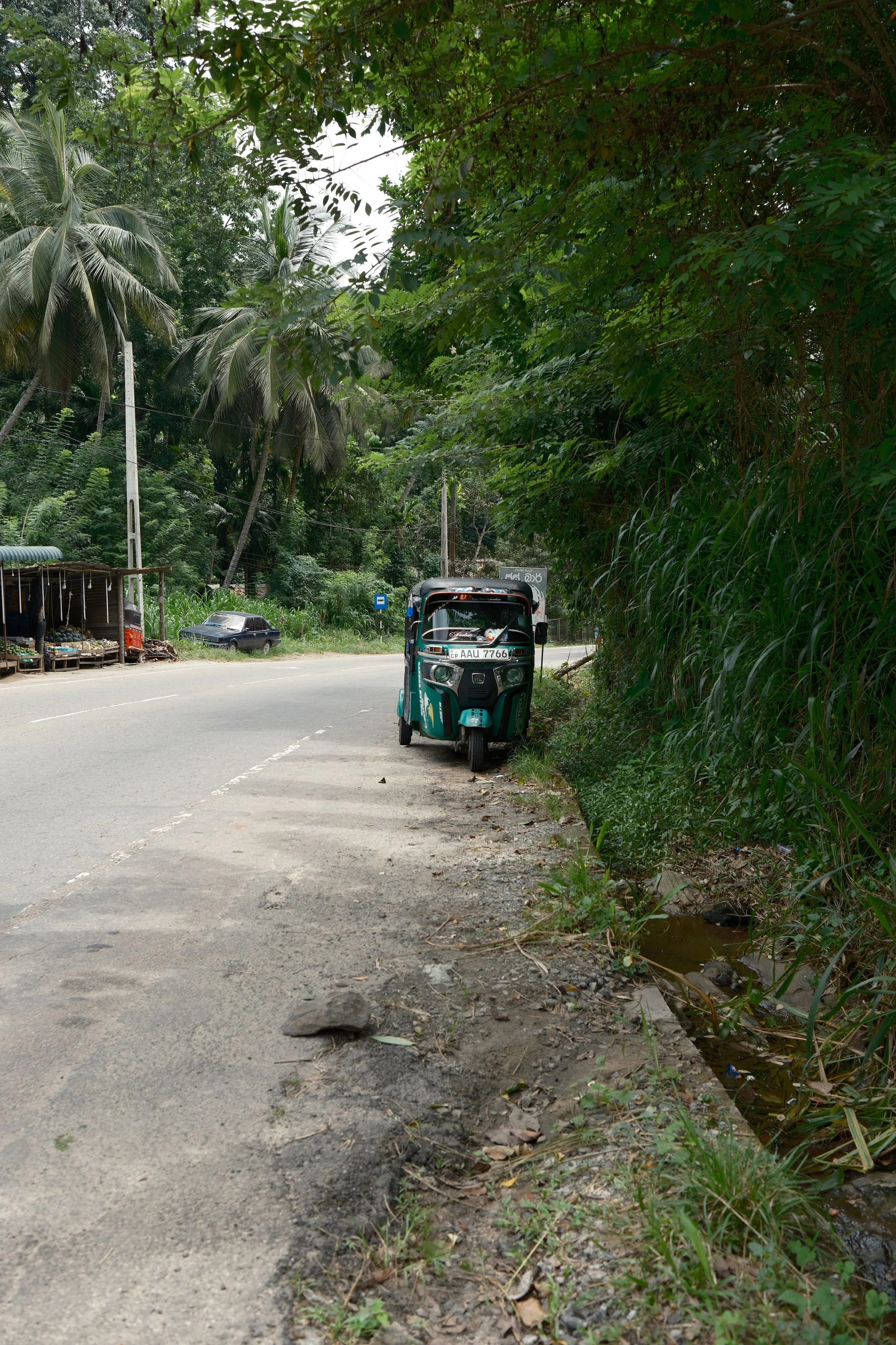 DSCF5331.jpg