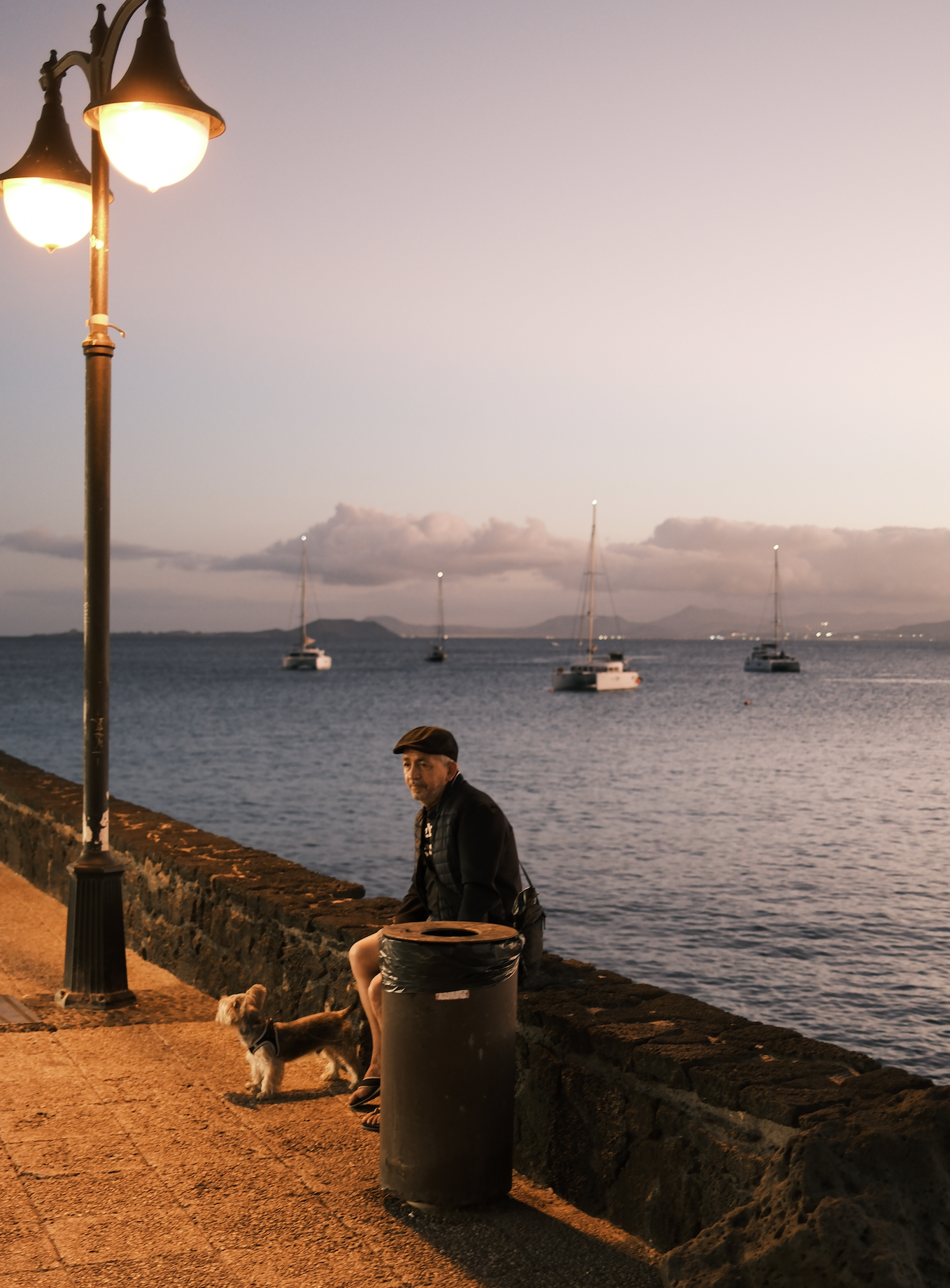 A man sitting by the waterfront during sunset with a small dog on a leash, boats anchored in the water, and a lamppost nearby.