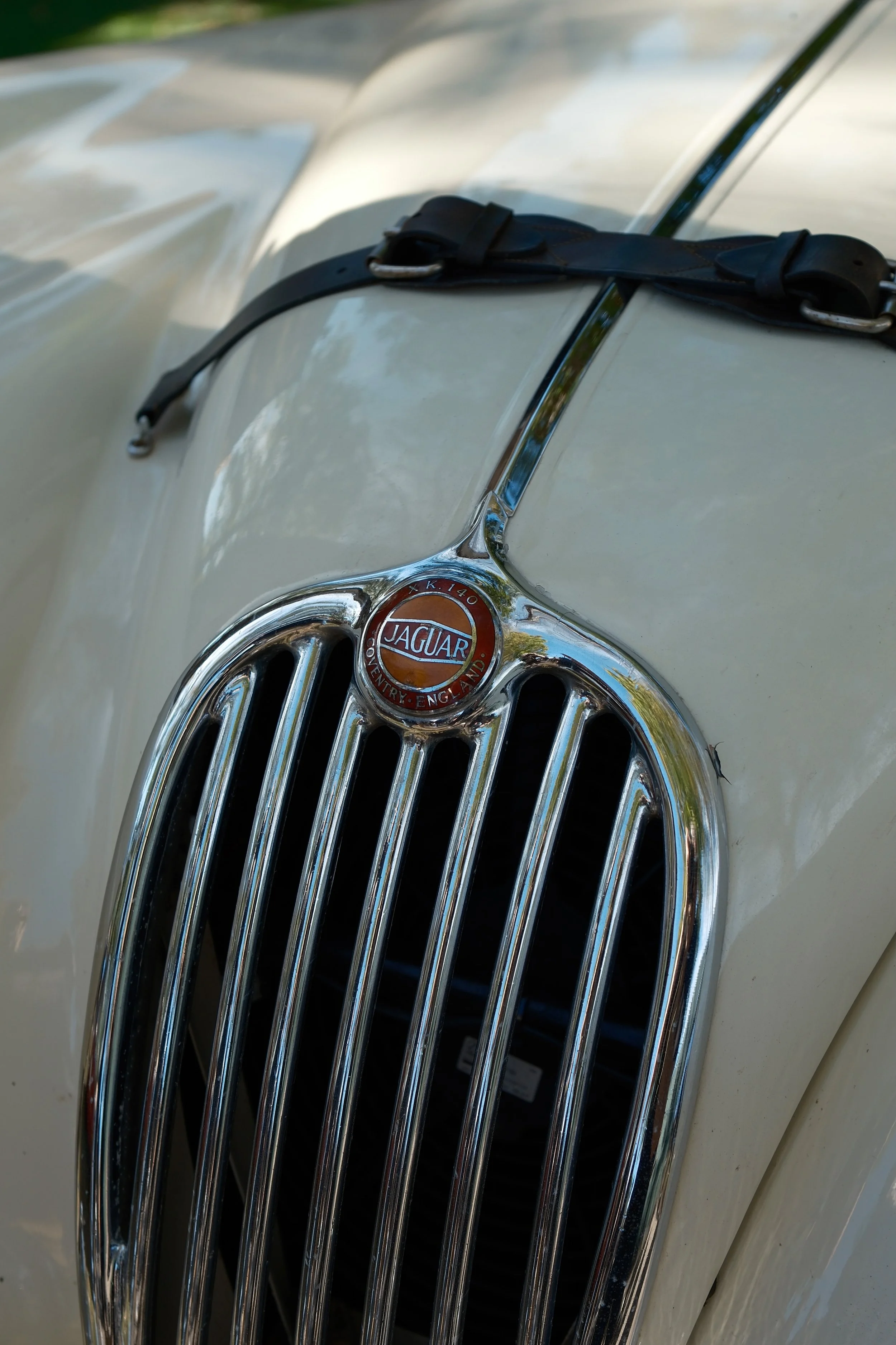 Close-up of a vintage white car hood with a chrome grille and a Jaguar emblem, featuring black leather straps crossing over the hood for security.