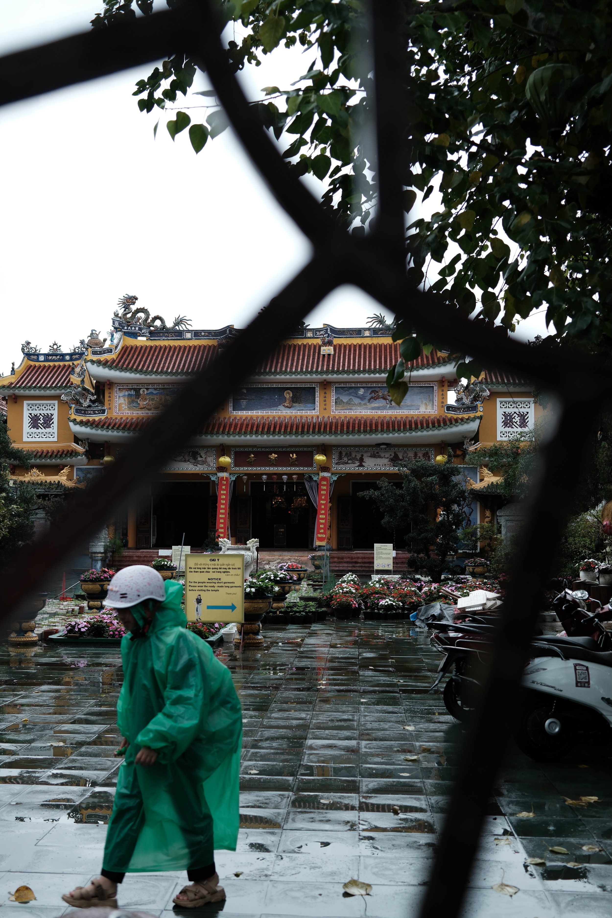 A person in a green raincoat and sandals walking in front of an ornate temple with a dragon on the roof and traditional decorations, seen through a metal fence on a rainy day.