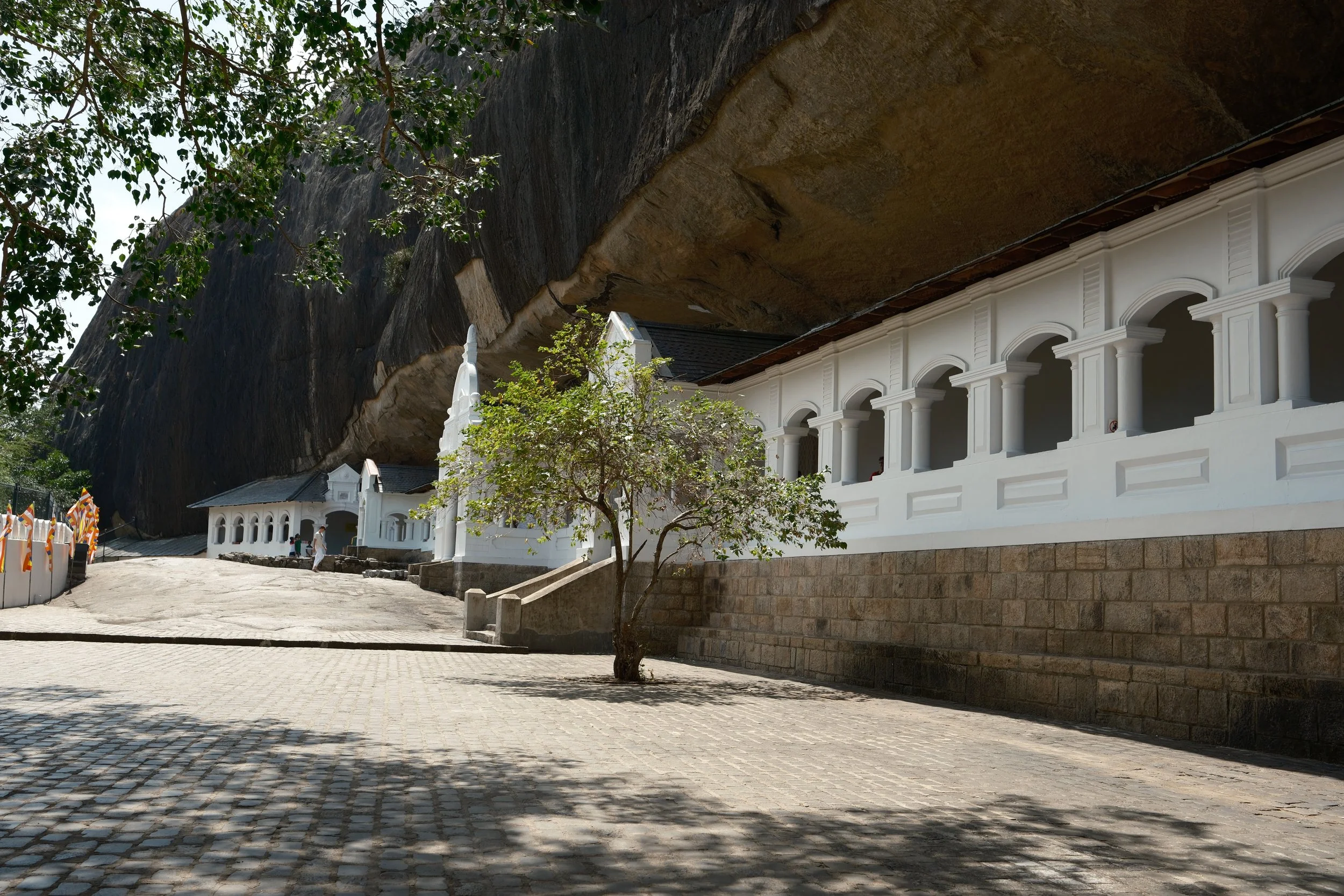 DSCF5725.jpg