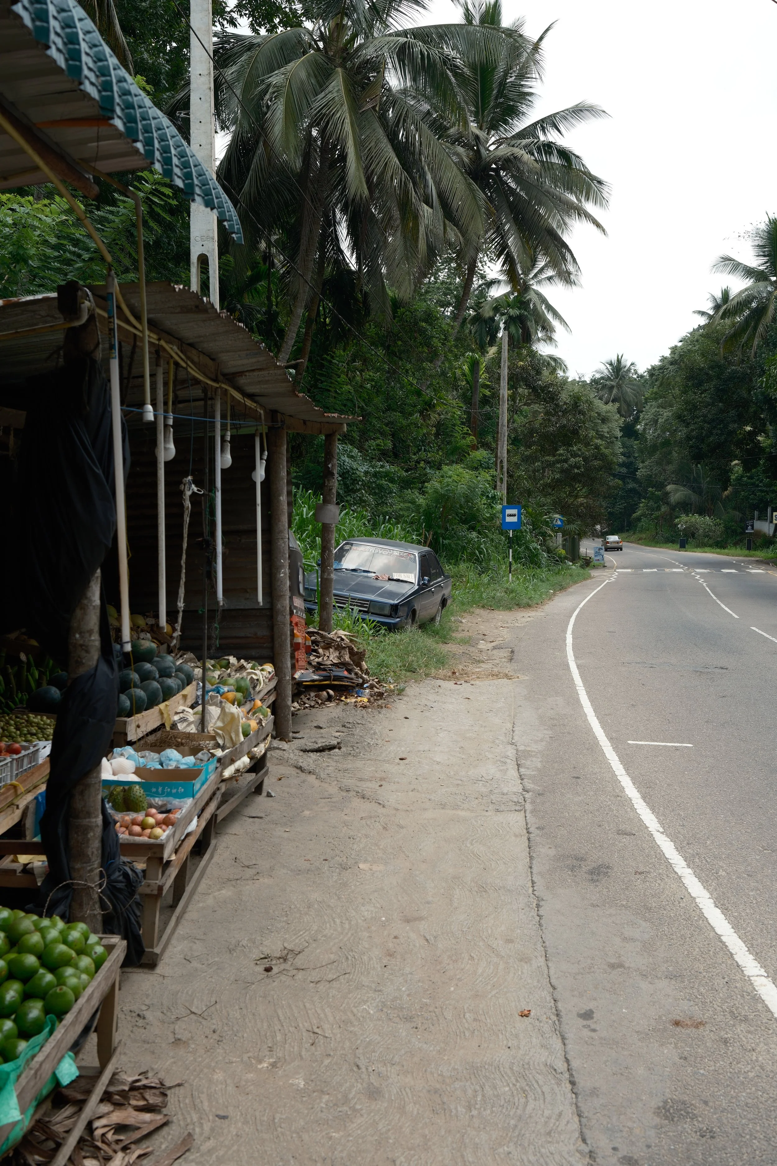 DSCF5335.jpg