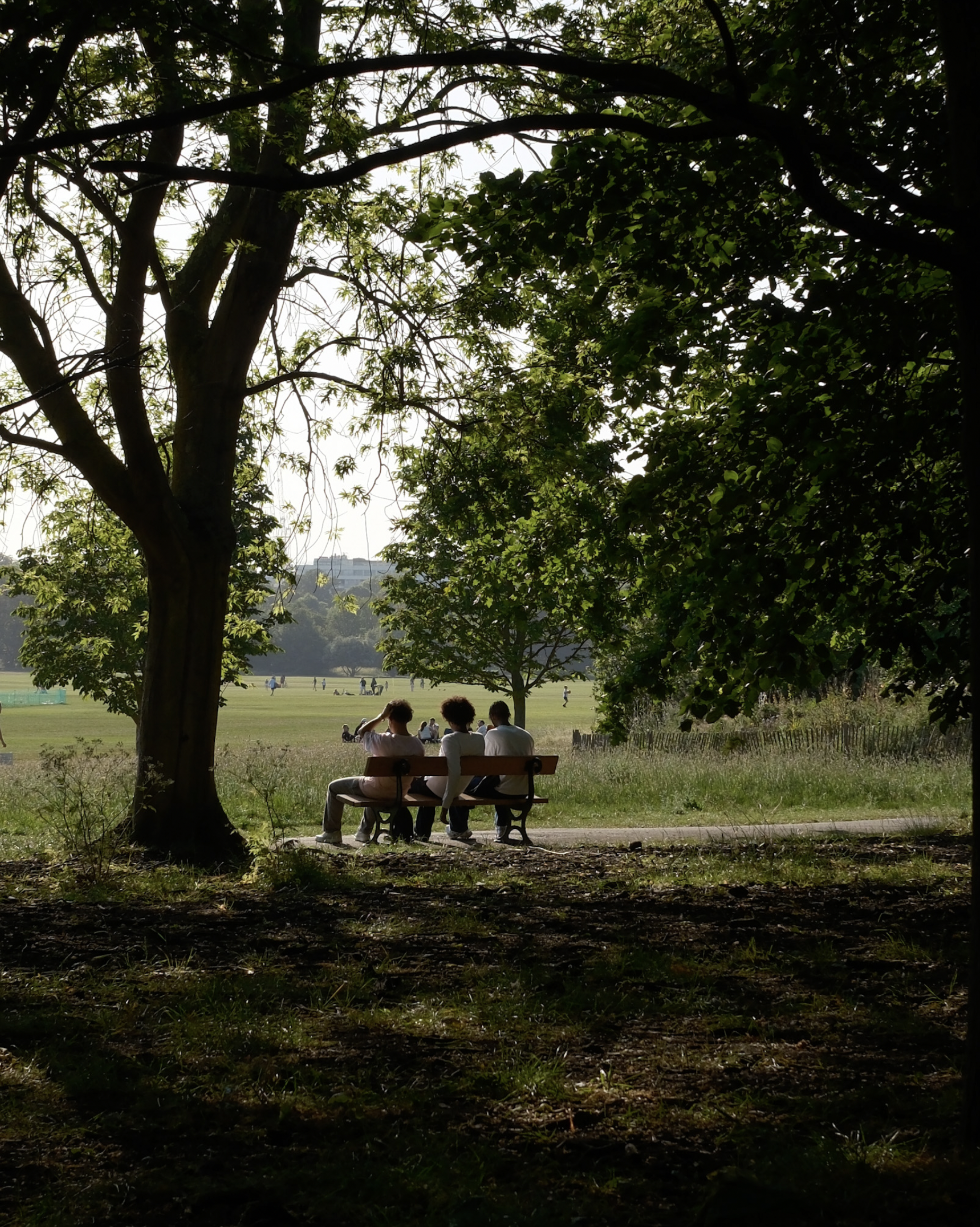 Three people sitting on a park bench under a large tree, with a wide open grassy area and people in the background.