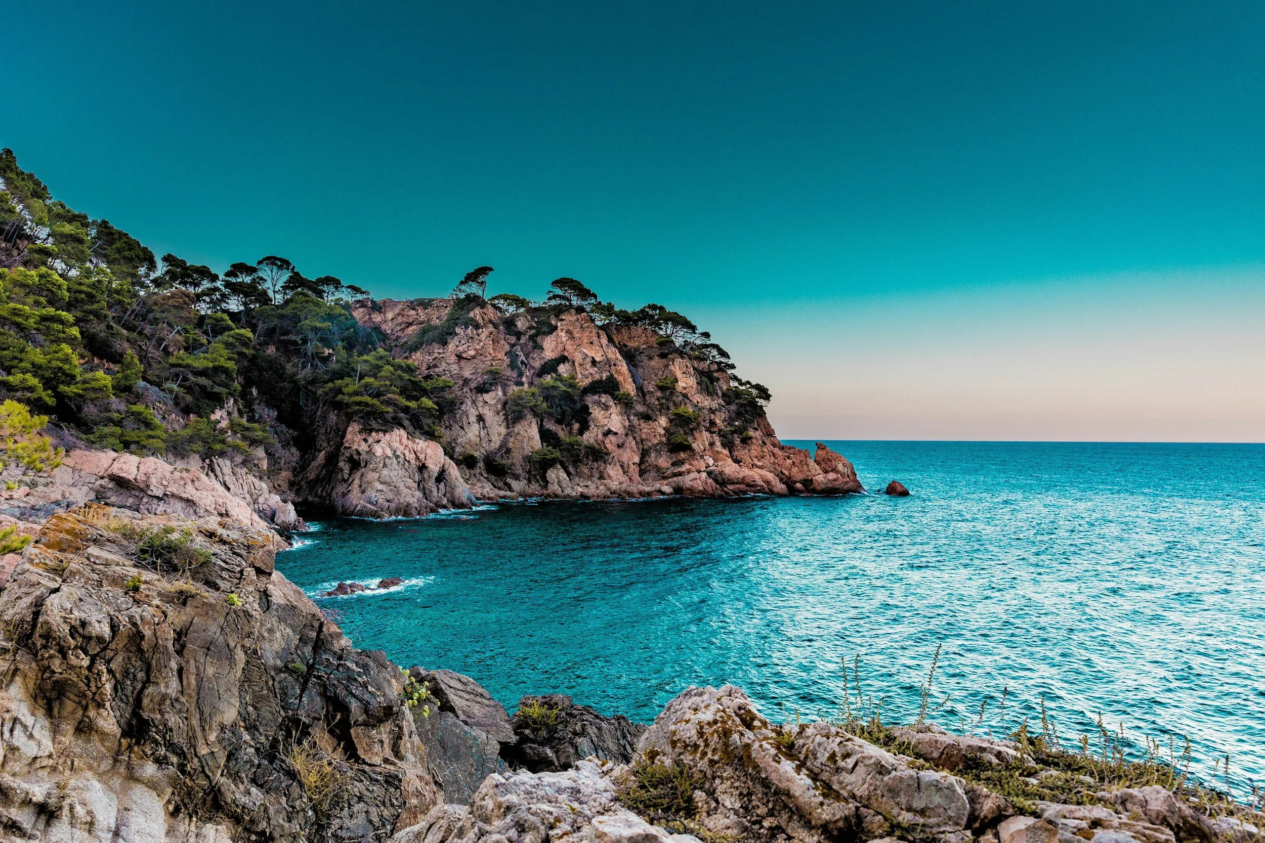 unsplash-image-cB4Uqoc9D9k.jpg