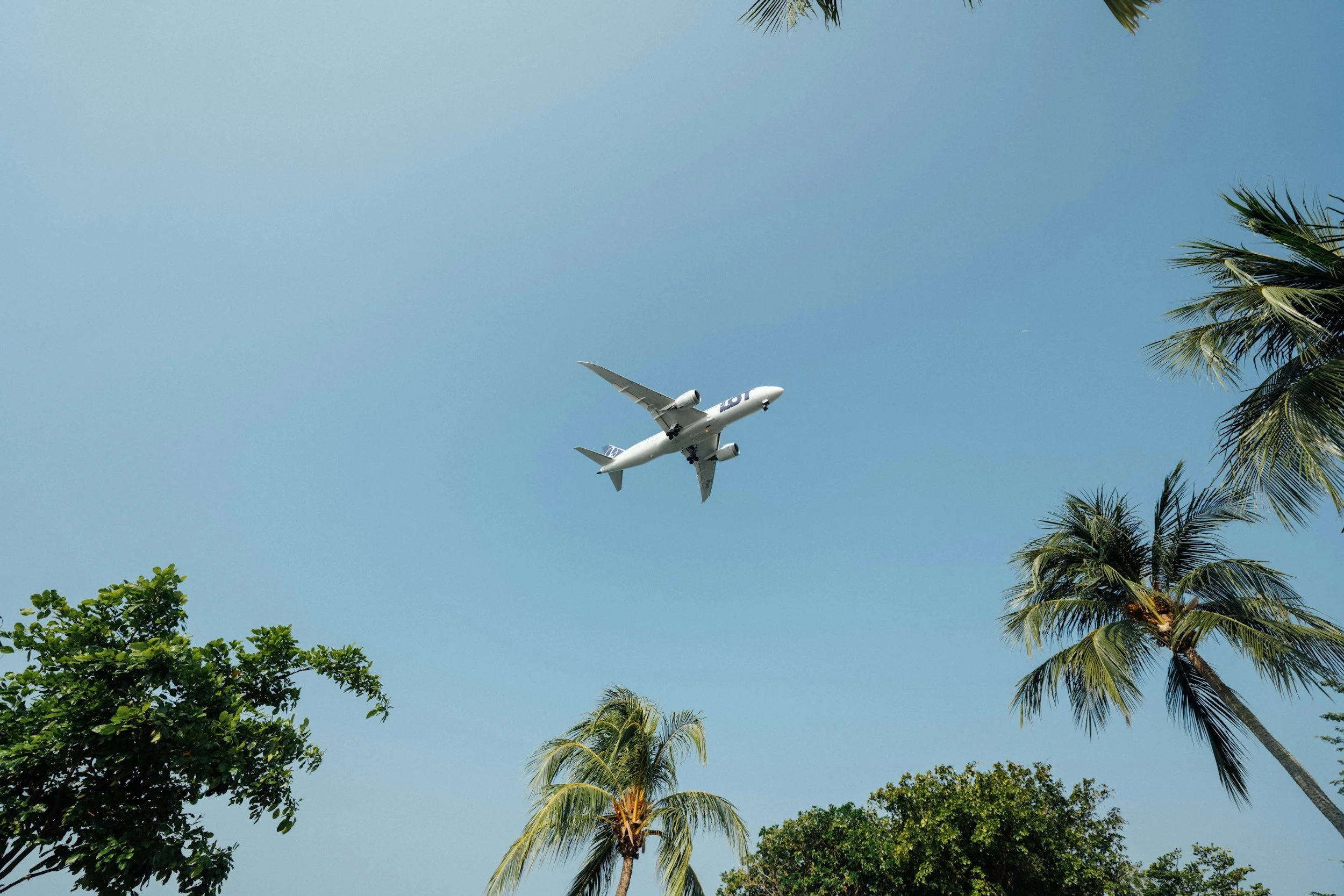 Passenger airplane flying in a clear blue sky above green palm trees.