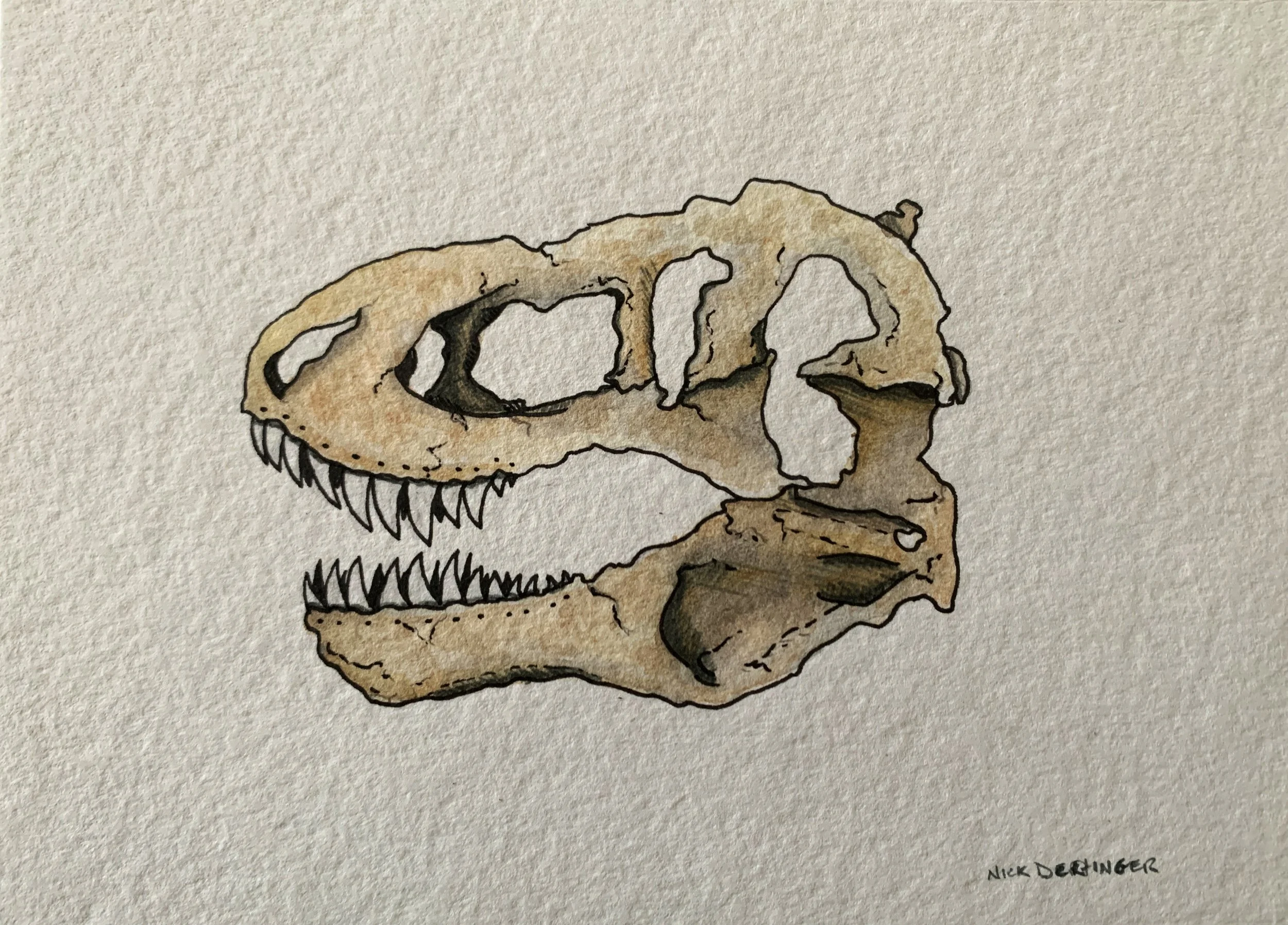 Tyrannosaurus Rex | Traditional Ink & Watercolor 