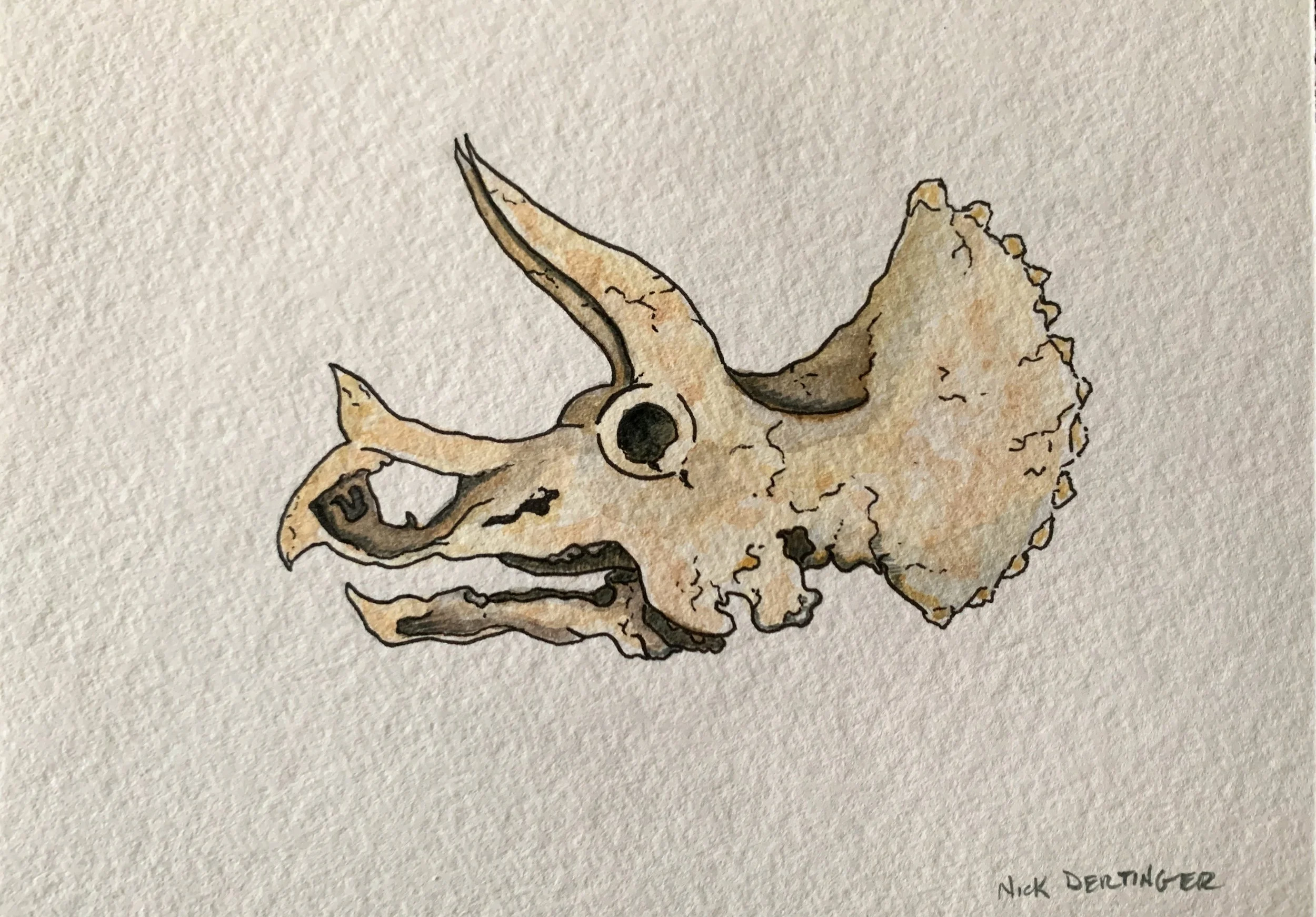 Triceratops | Traditional Ink & Watercolor 