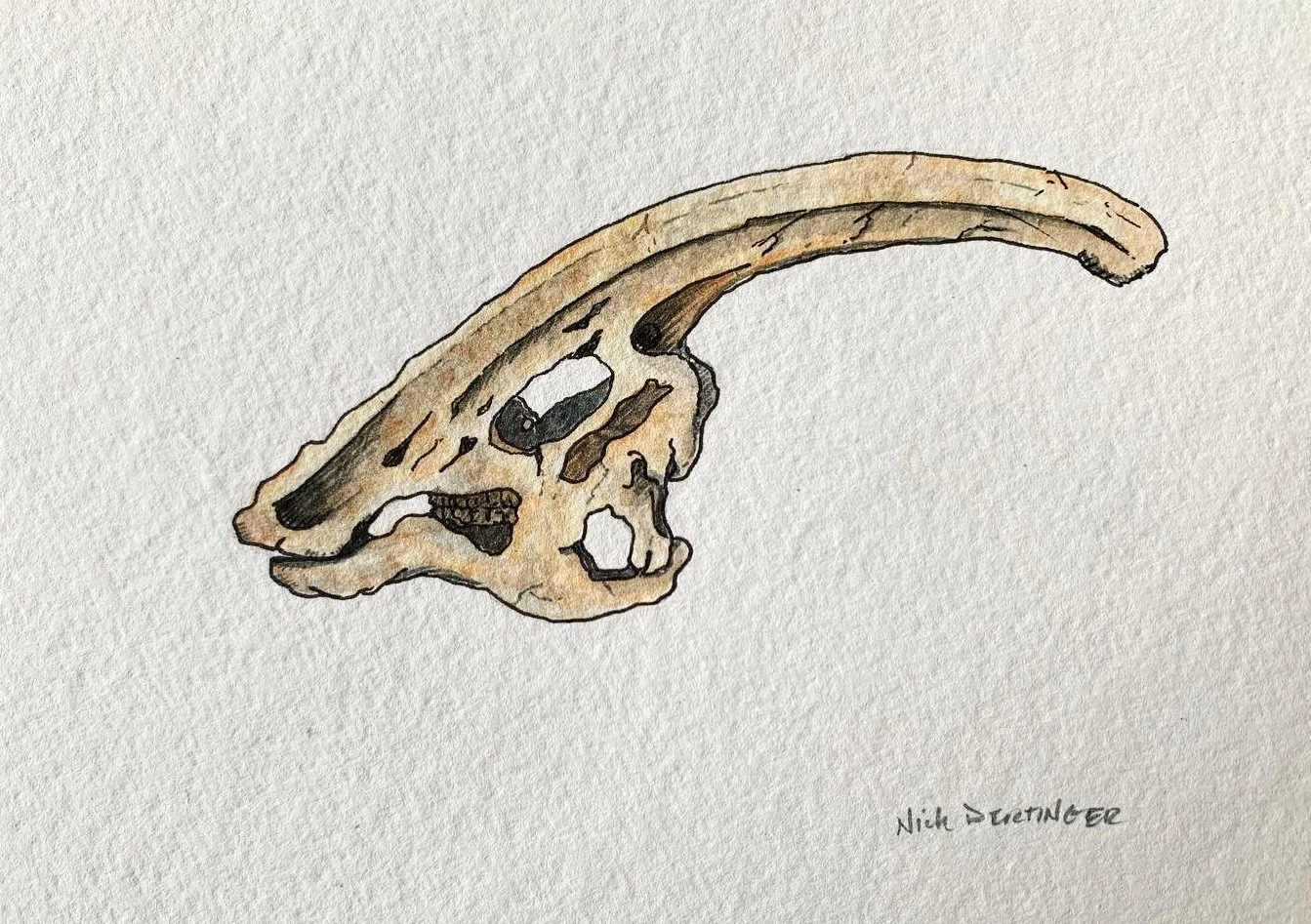 Parasaurolophus | Traditional Ink & Watercolor 