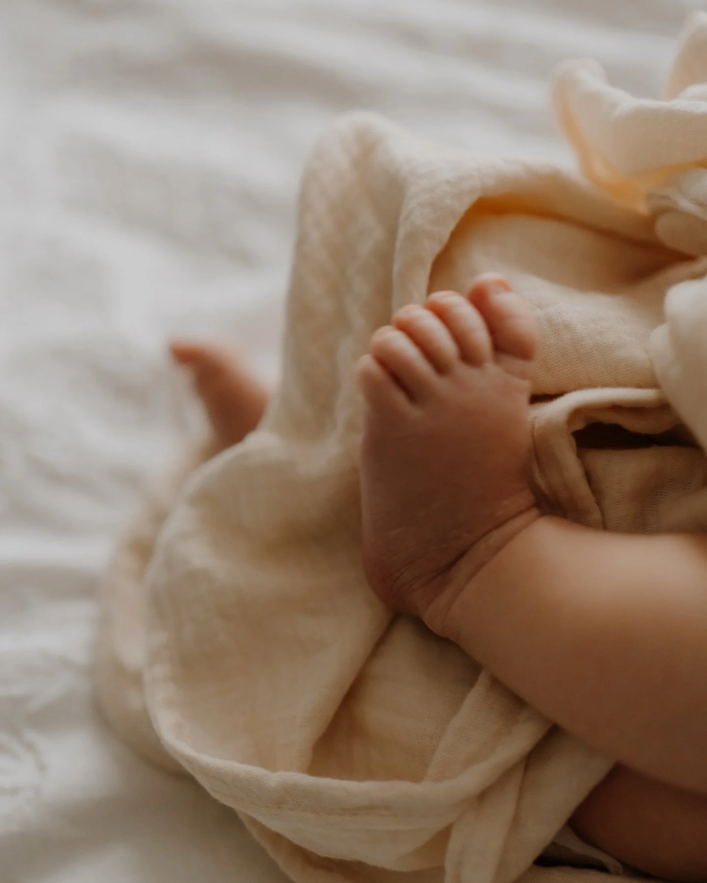 ✨ Baby Oscar ✨ 

Another gorgeous newborn at home shoot, with Baby Oscar and his big sister who was so excited she was asleep when I arrived 🤍🤍🤍

I love these sessions.