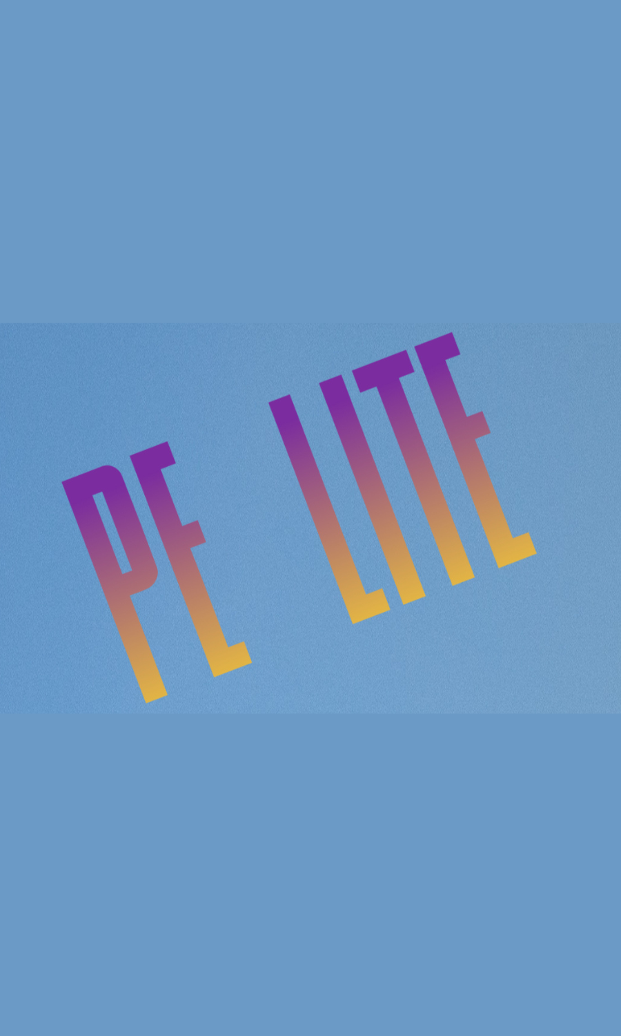 Rethinking Private Equity for Wealth Management: The PE Lite Approach