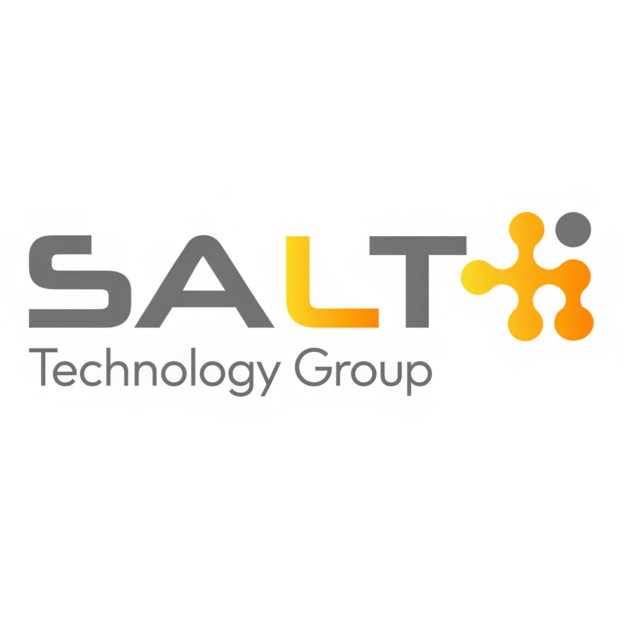 Salt Technology Group
