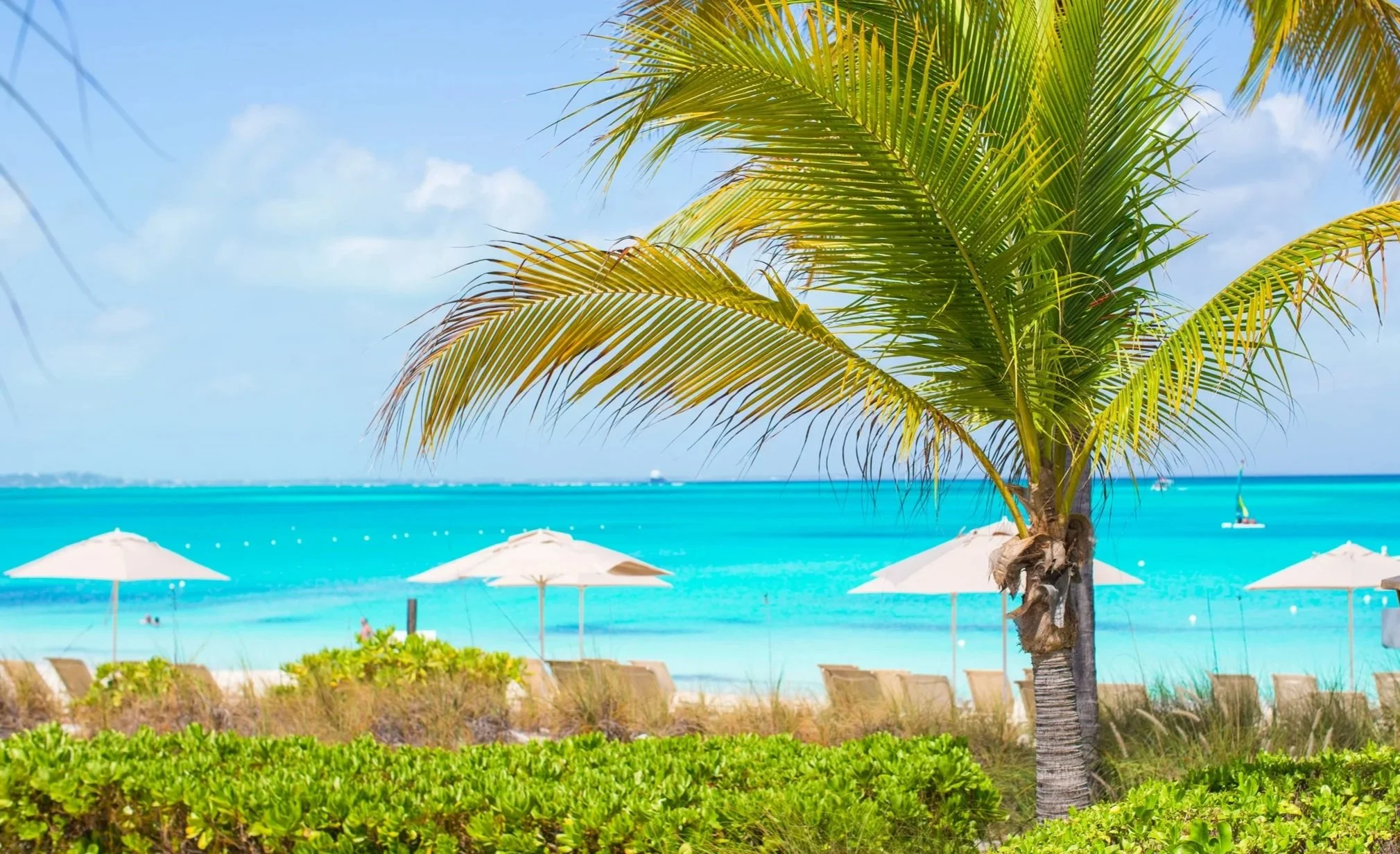 Seeking Caribbean Alpha in 2026